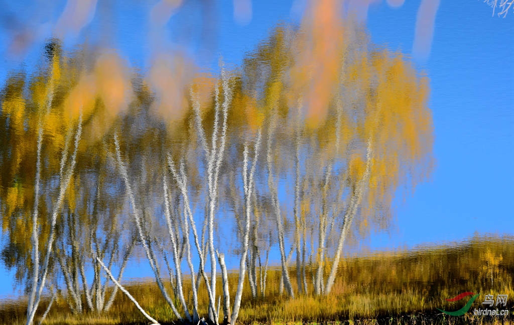 DSC_6121_����_����.jpg