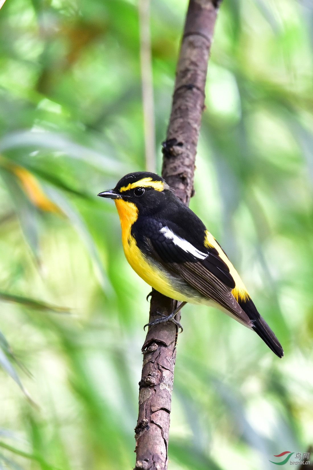 DSC_1194.JPG