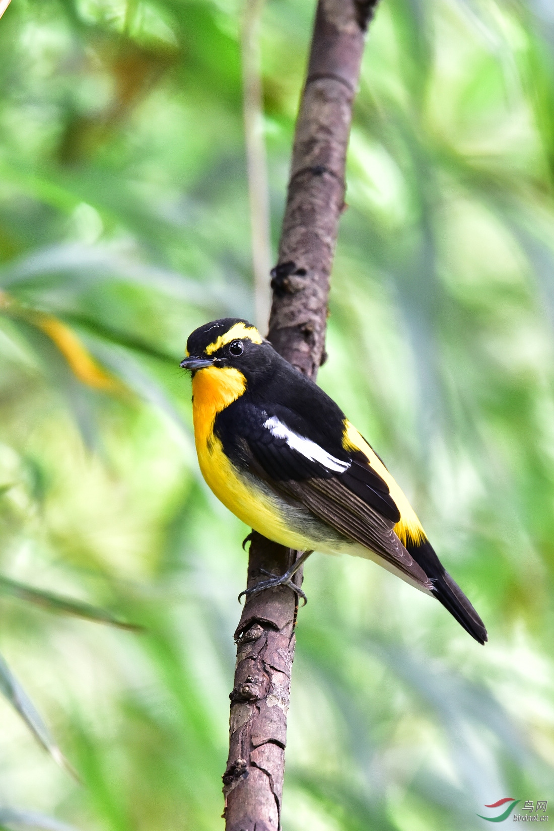 DSC_1196.JPG