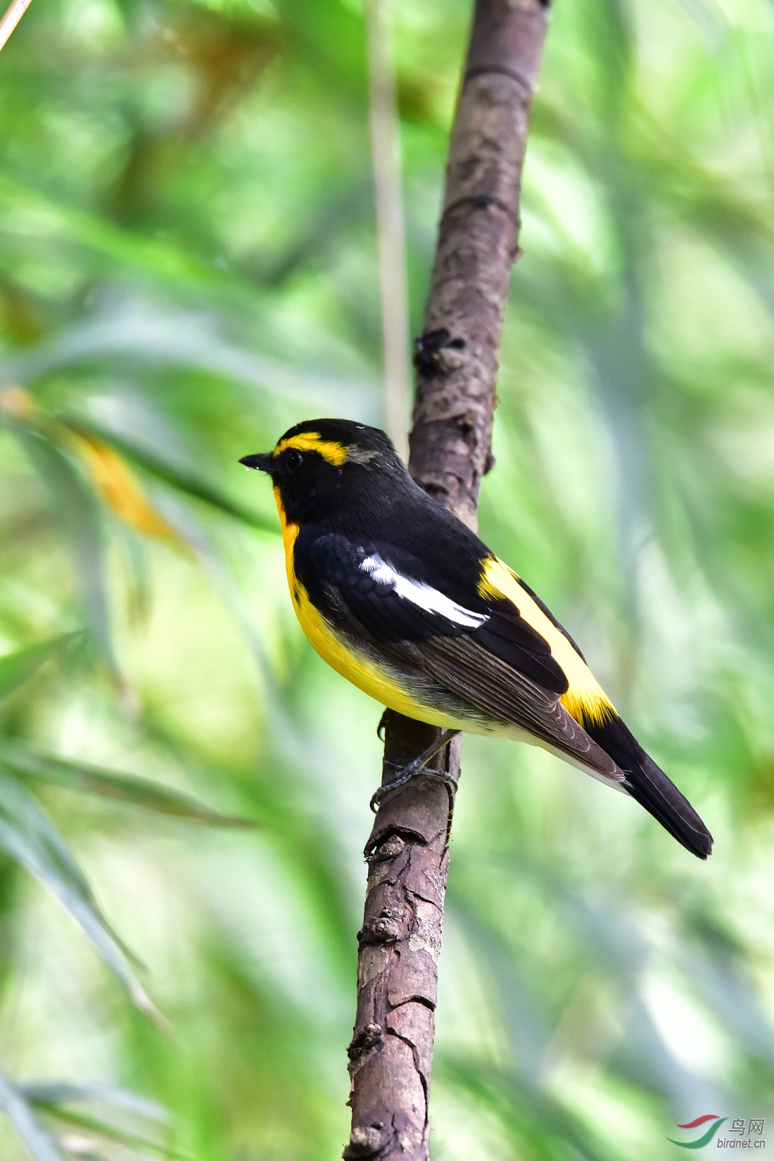 DSC_1198.JPG