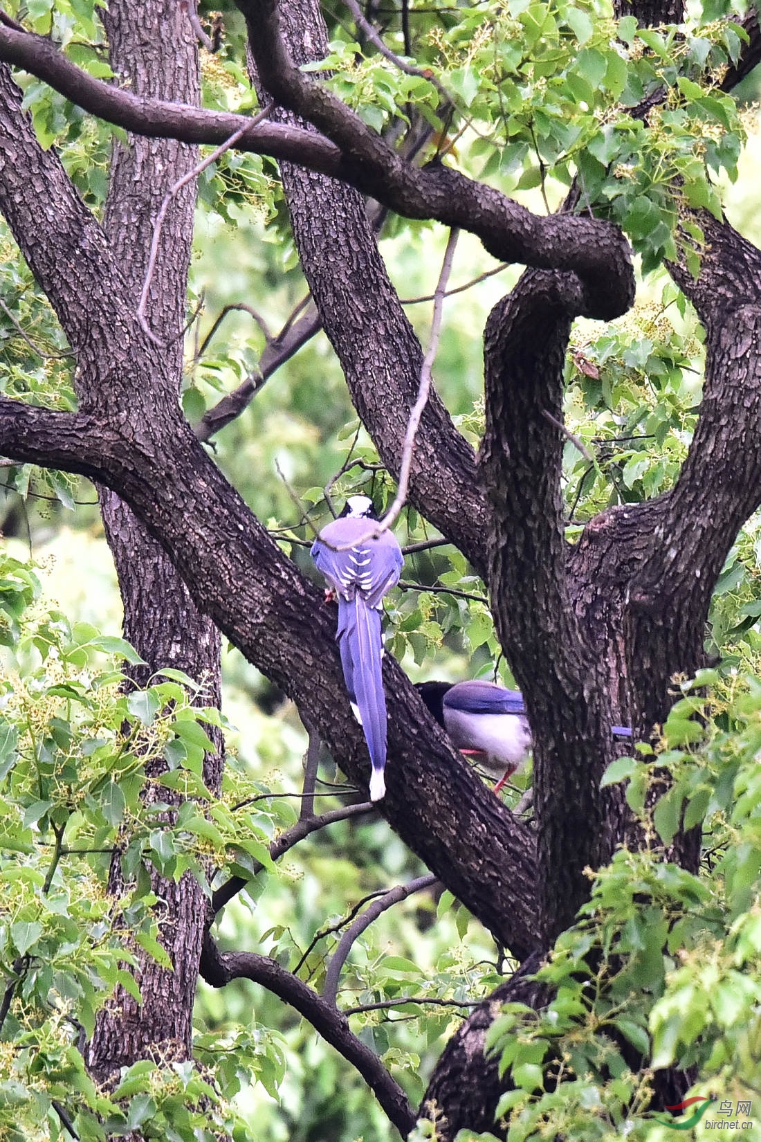 DSC_0427.JPG