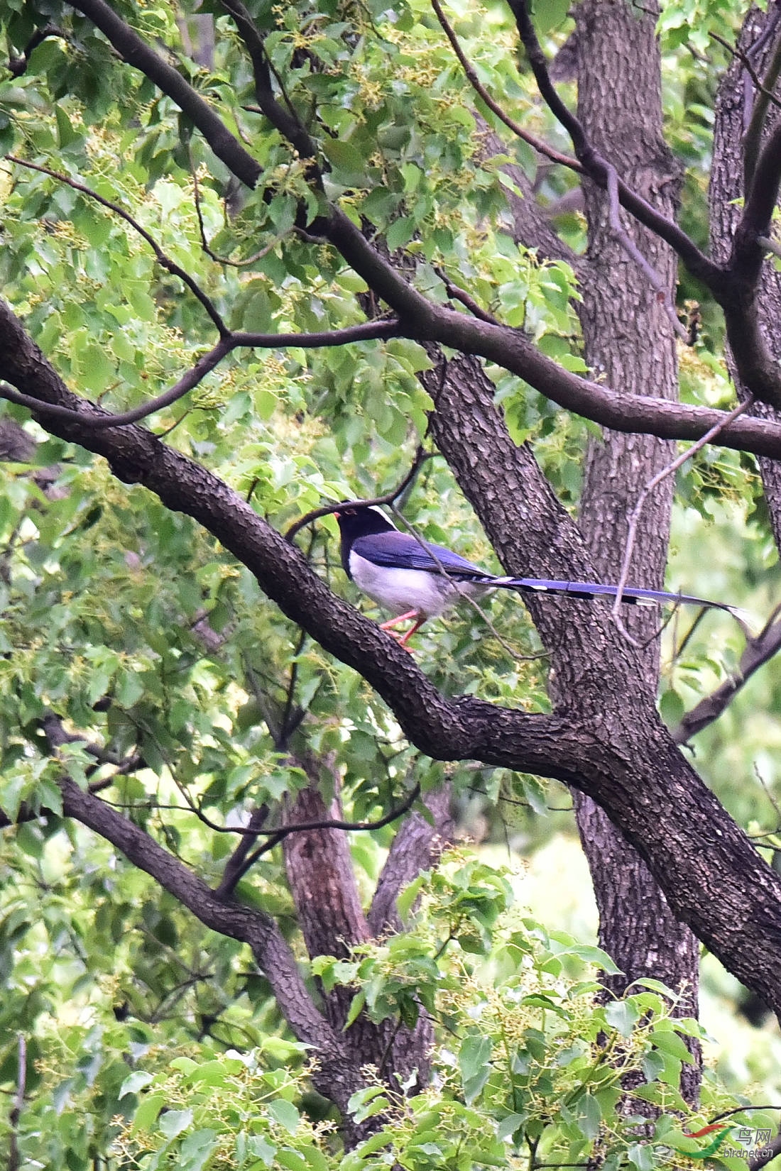 DSC_0428.JPG