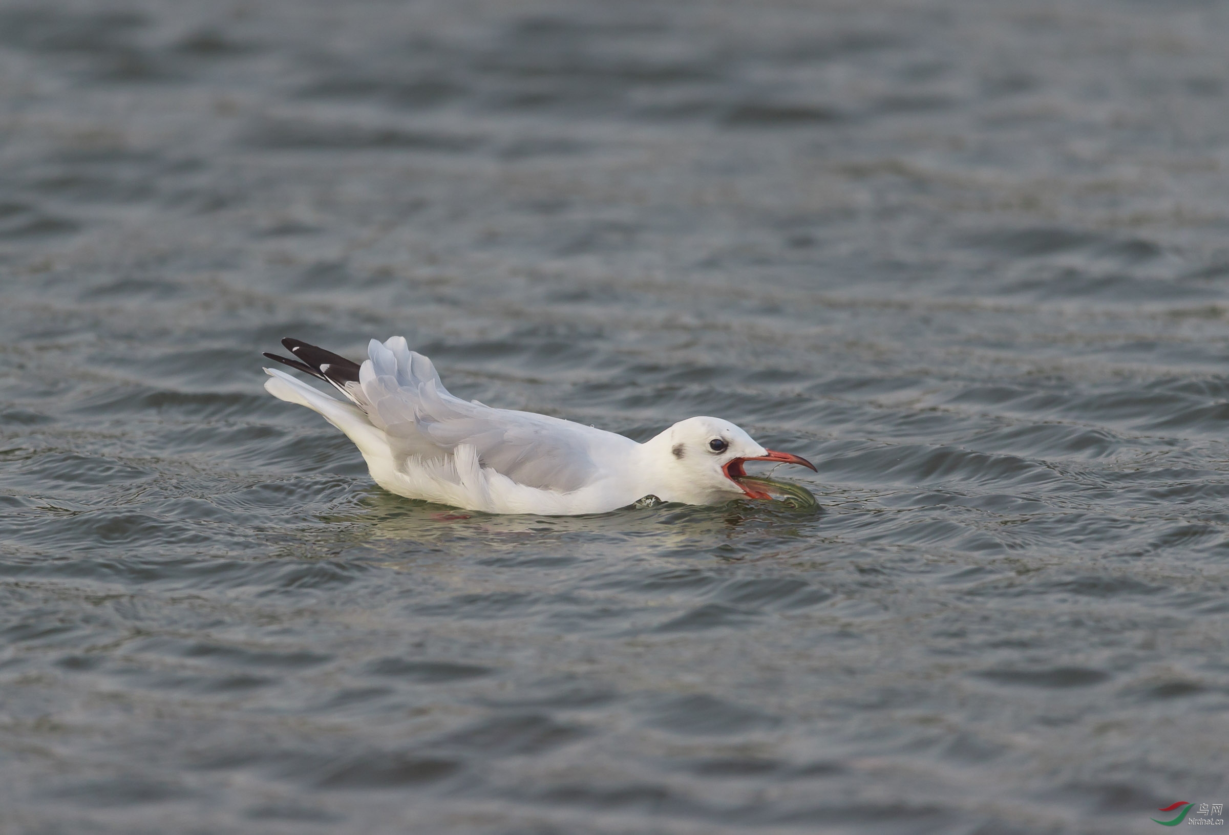 DSC_3134.jpg