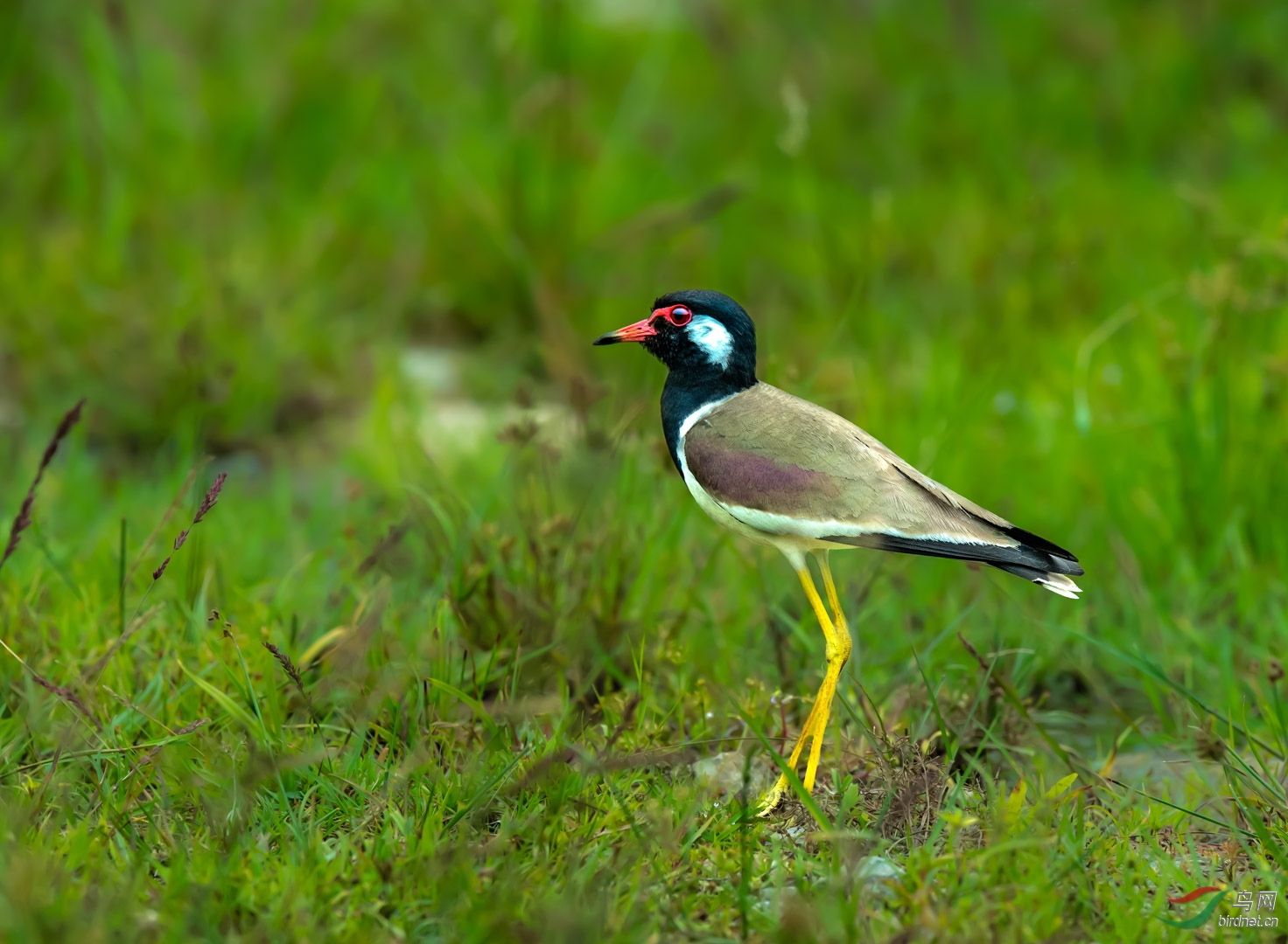 20191001acr113.jpg