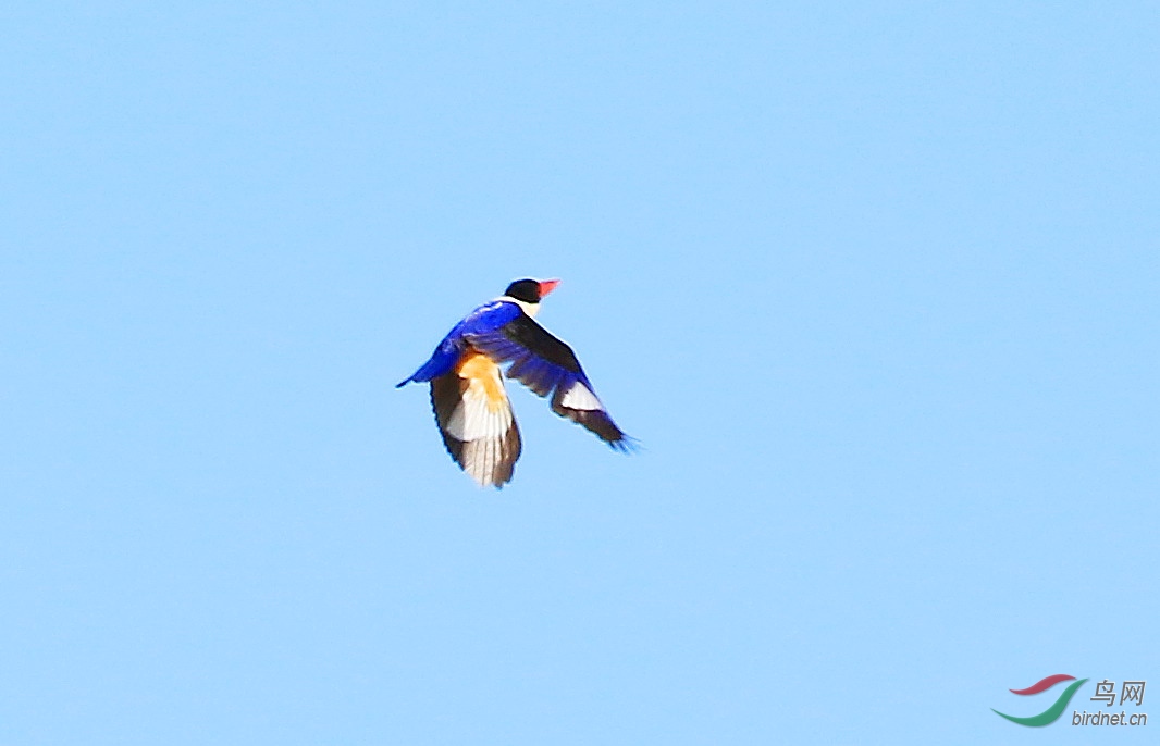05���������5077.jpg