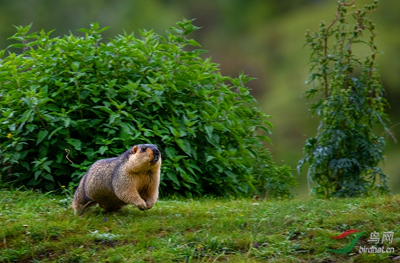 DSC_8710.jpg