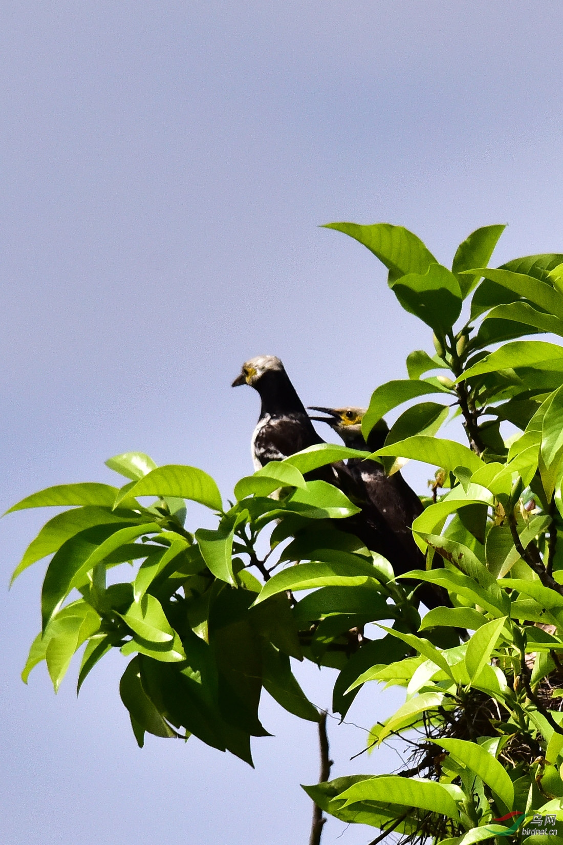 DSC_0021.JPG