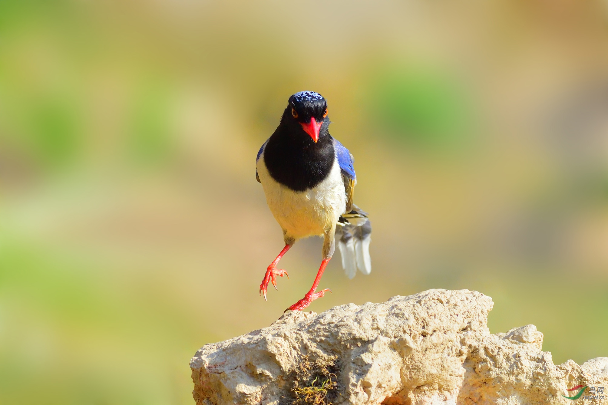 DSC_2740_ԾԾ����  �ϴ� xh sc.jpg