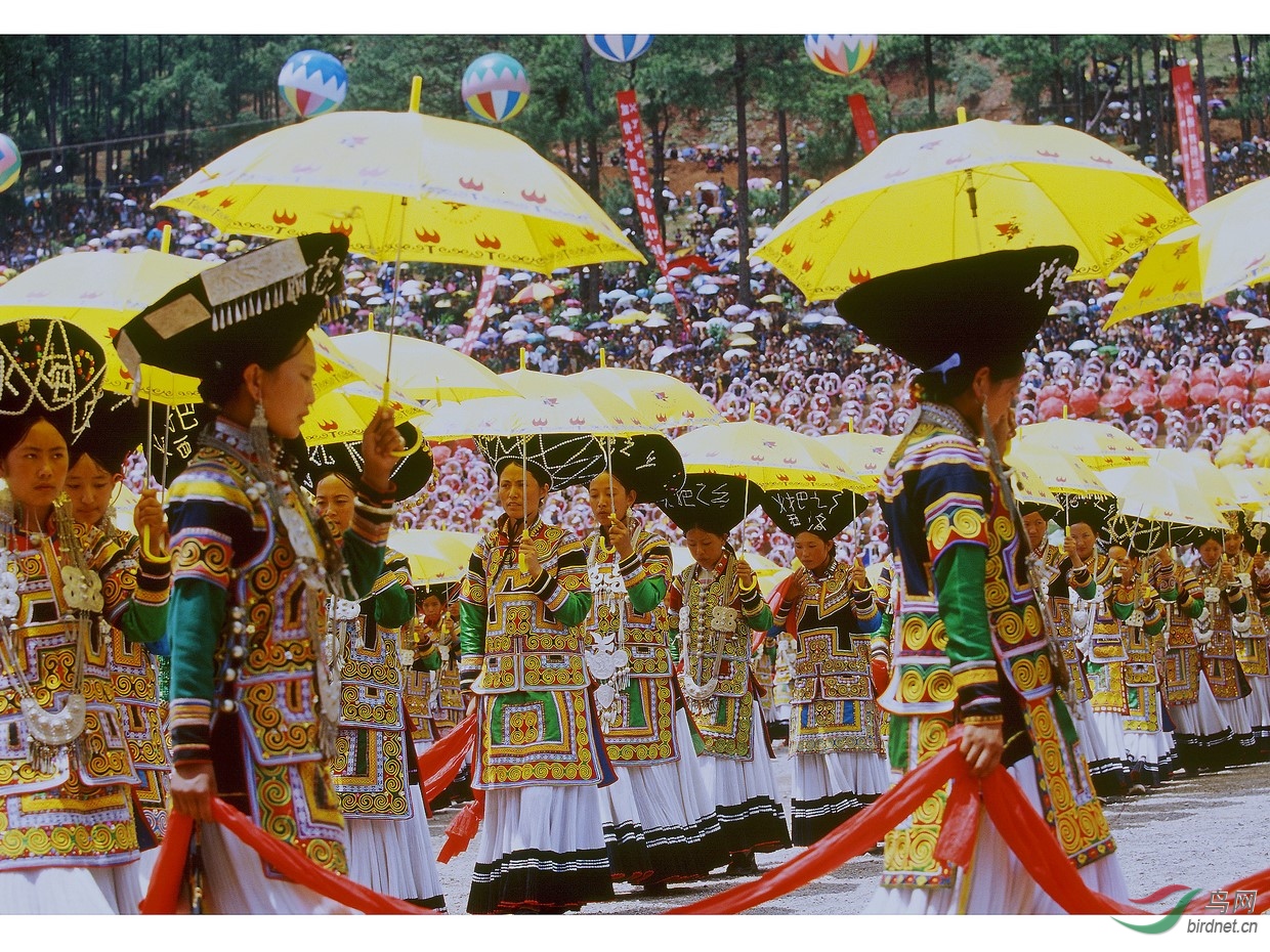 Order001-0001_DxO (����).jpg