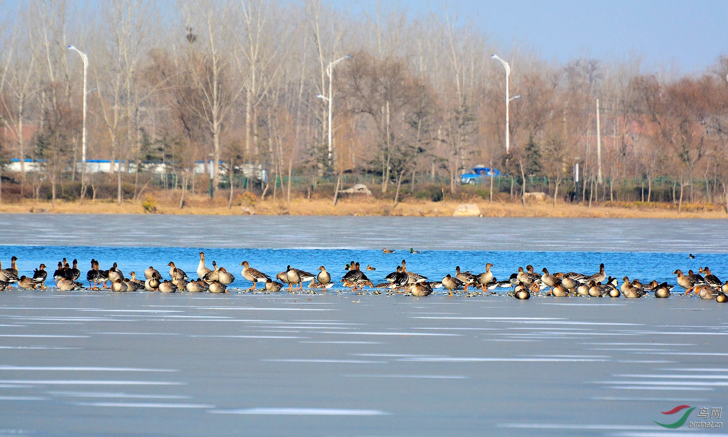 DSC_6297.JPG
