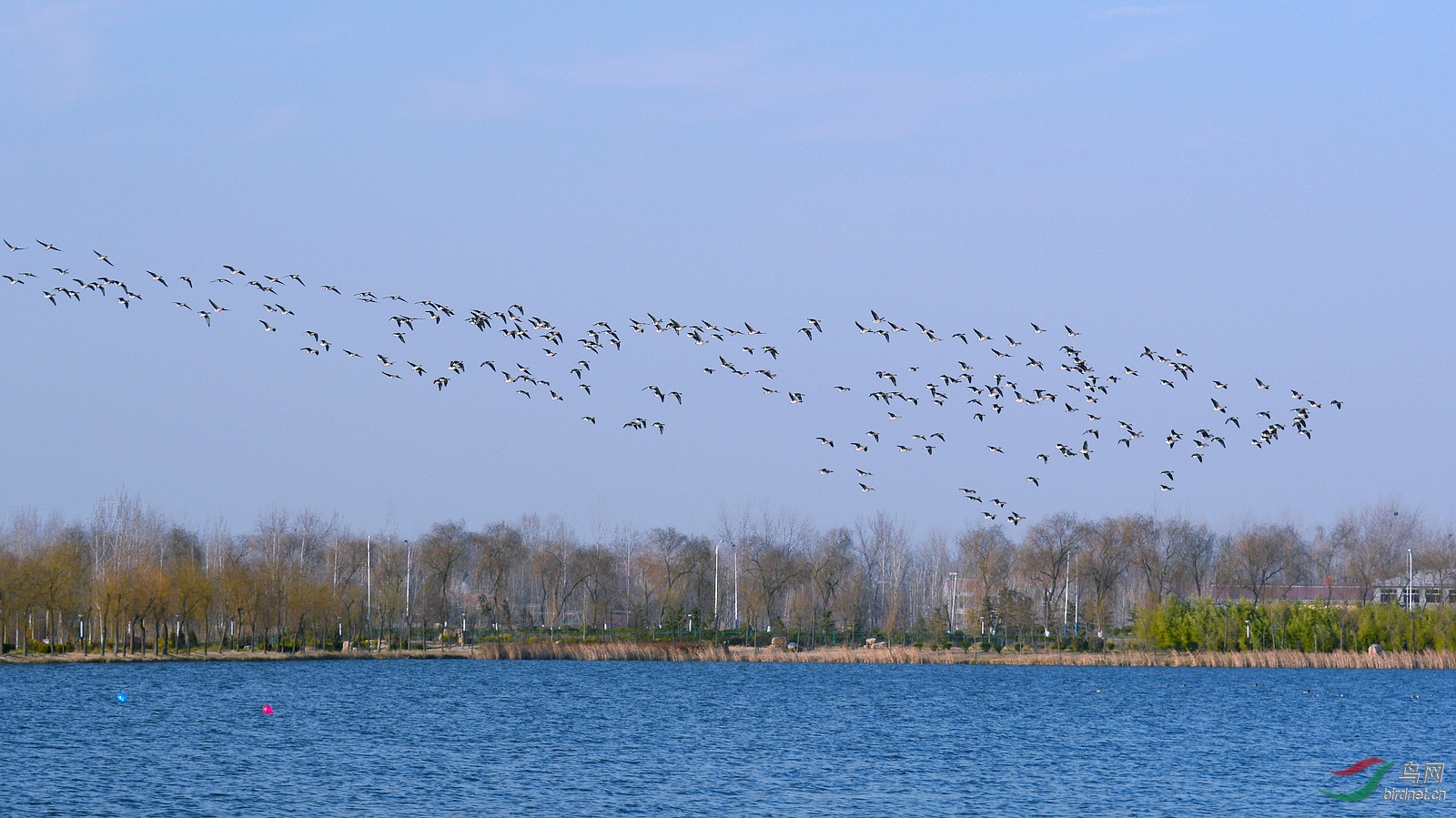 DSC_9558.JPG