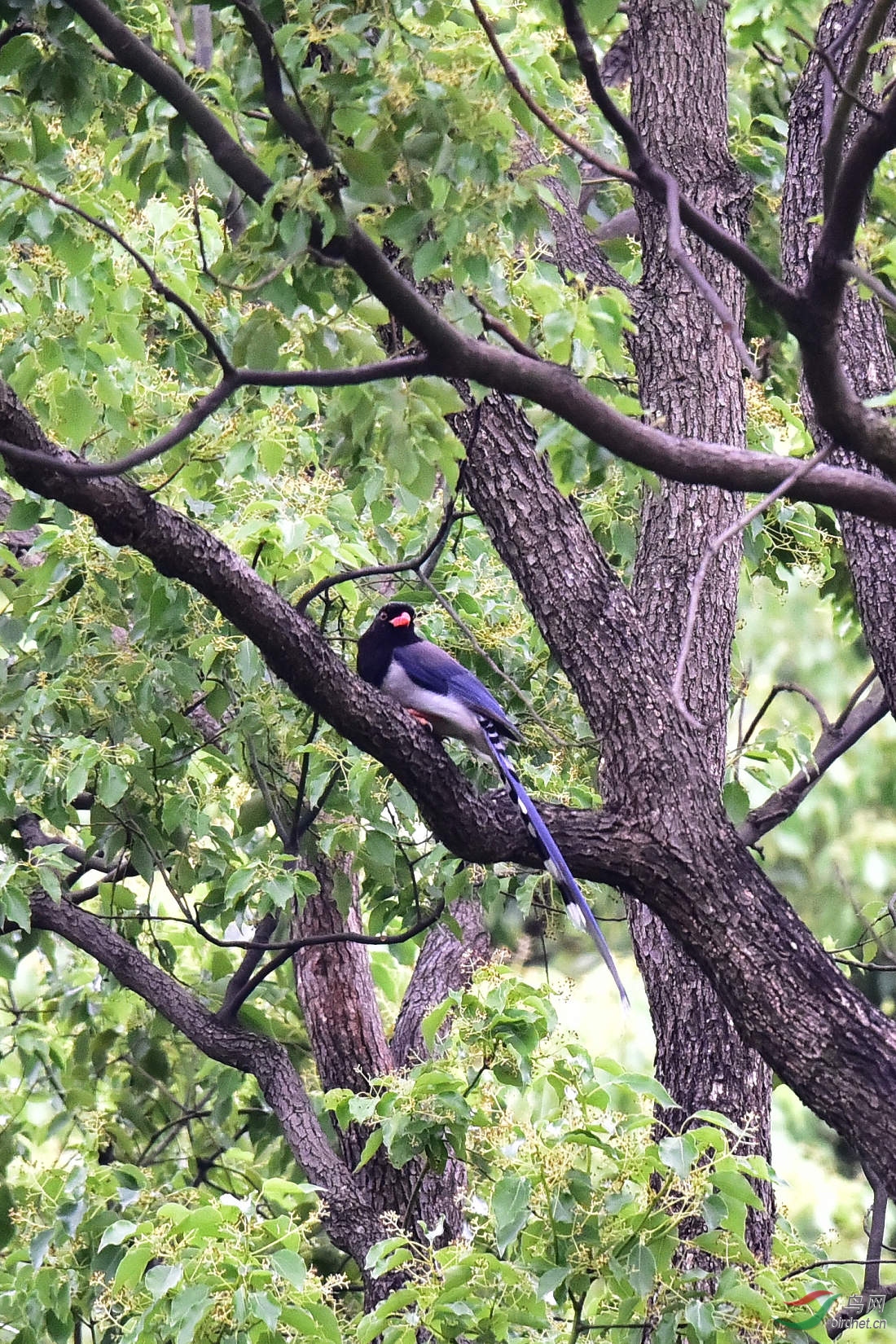 DSC_0434.JPG