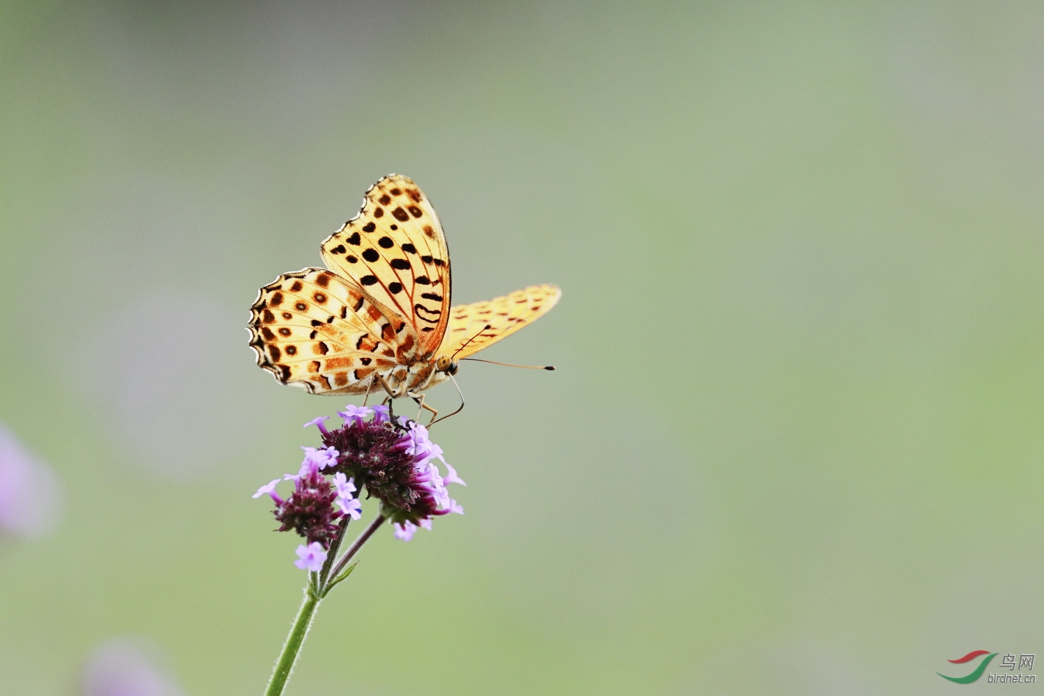 2019-09-30 90D 034.JPG