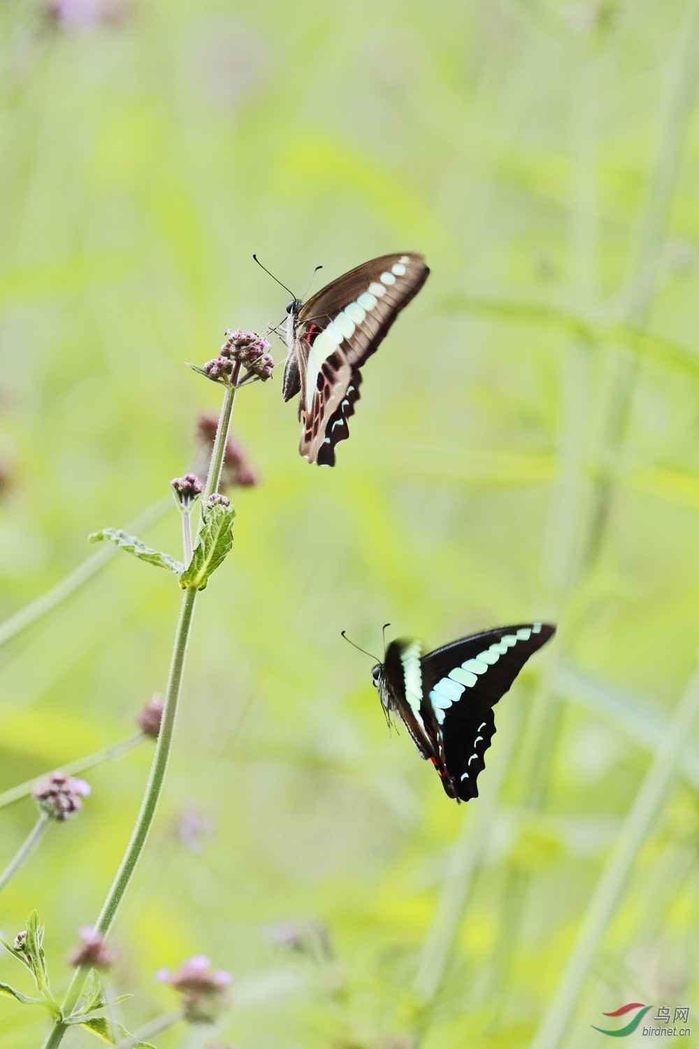 2019-09-30 90D 044.JPG