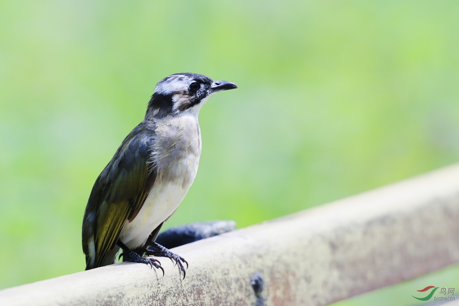 2019-09-30 90D 052.JPG