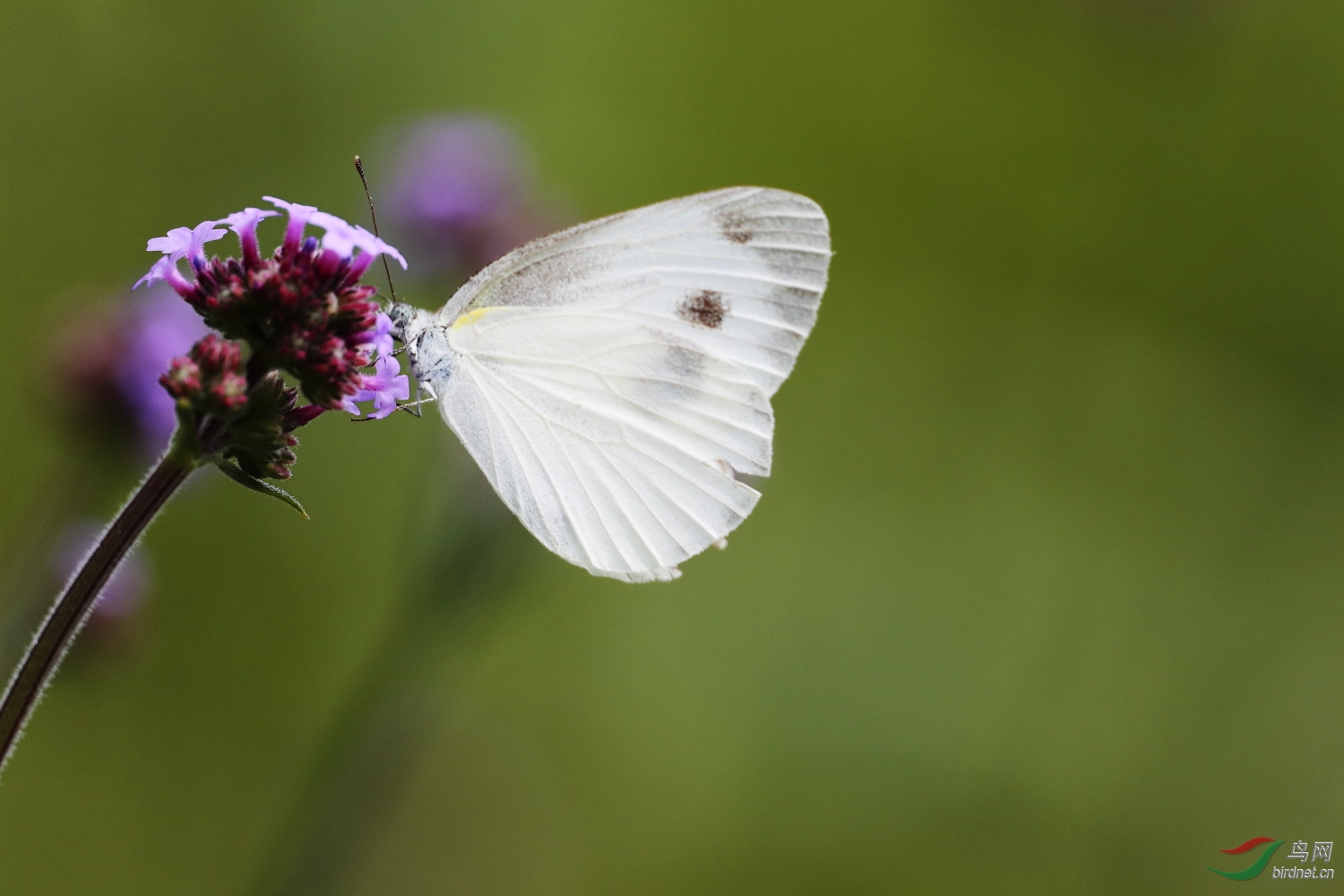 2019-09-30 90D 056.JPG