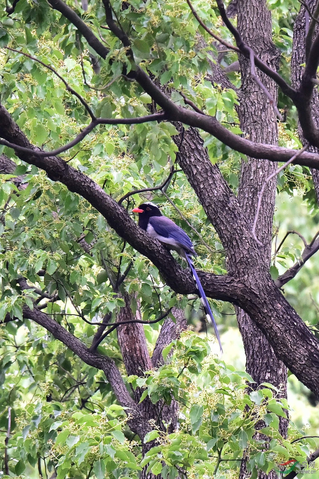 DSC_0436.JPG