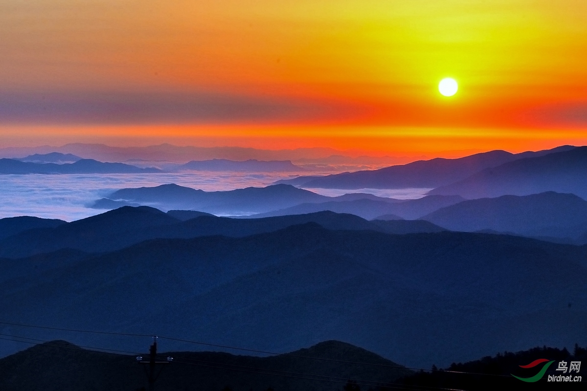 冉冉升起的太阳!