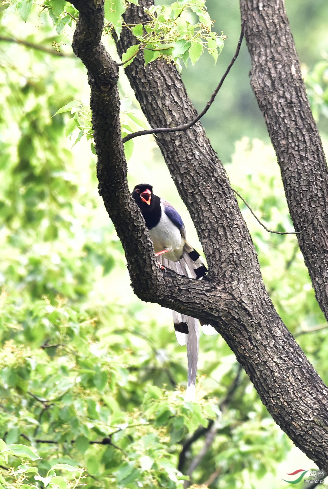 DSC_0437.JPG