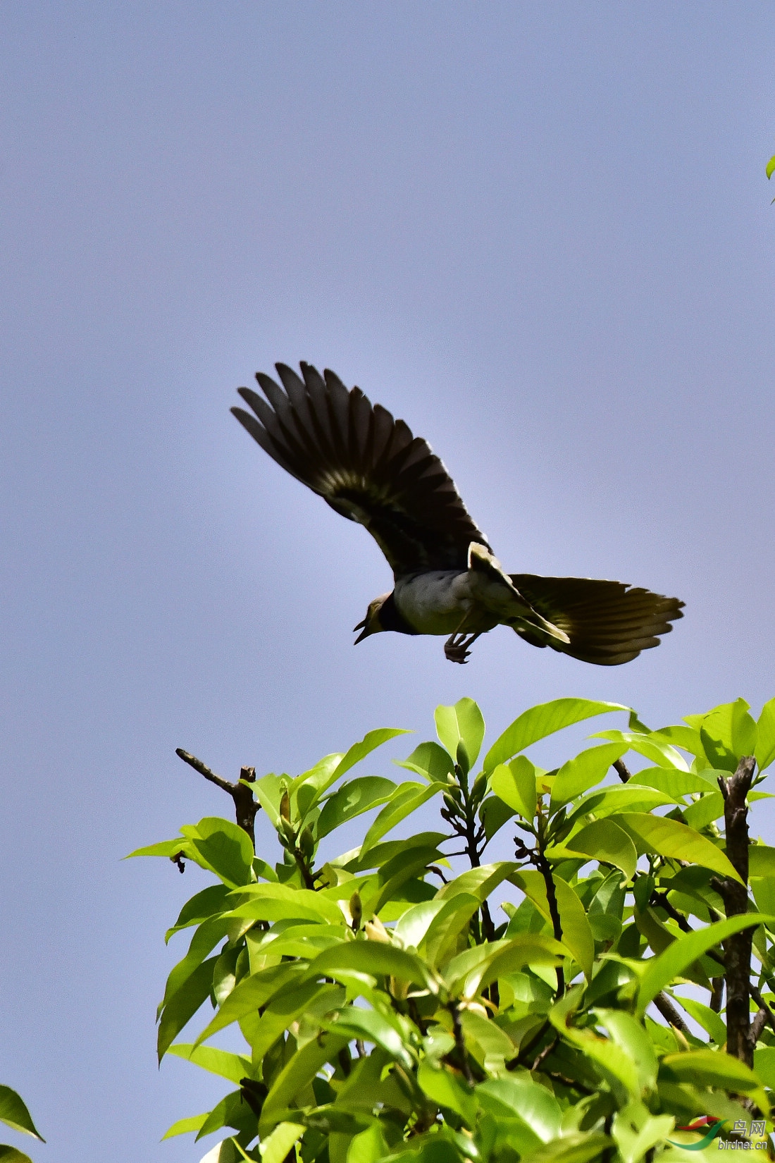 DSC_0027.JPG