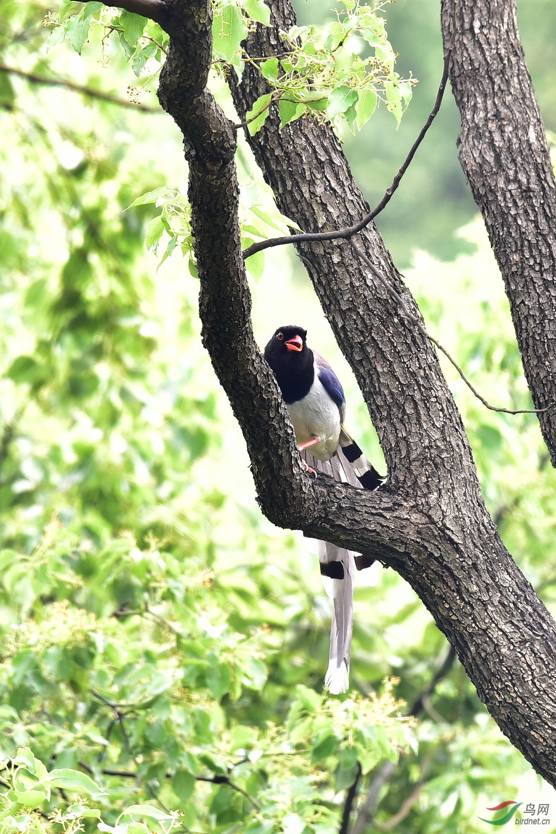 DSC_0439.JPG