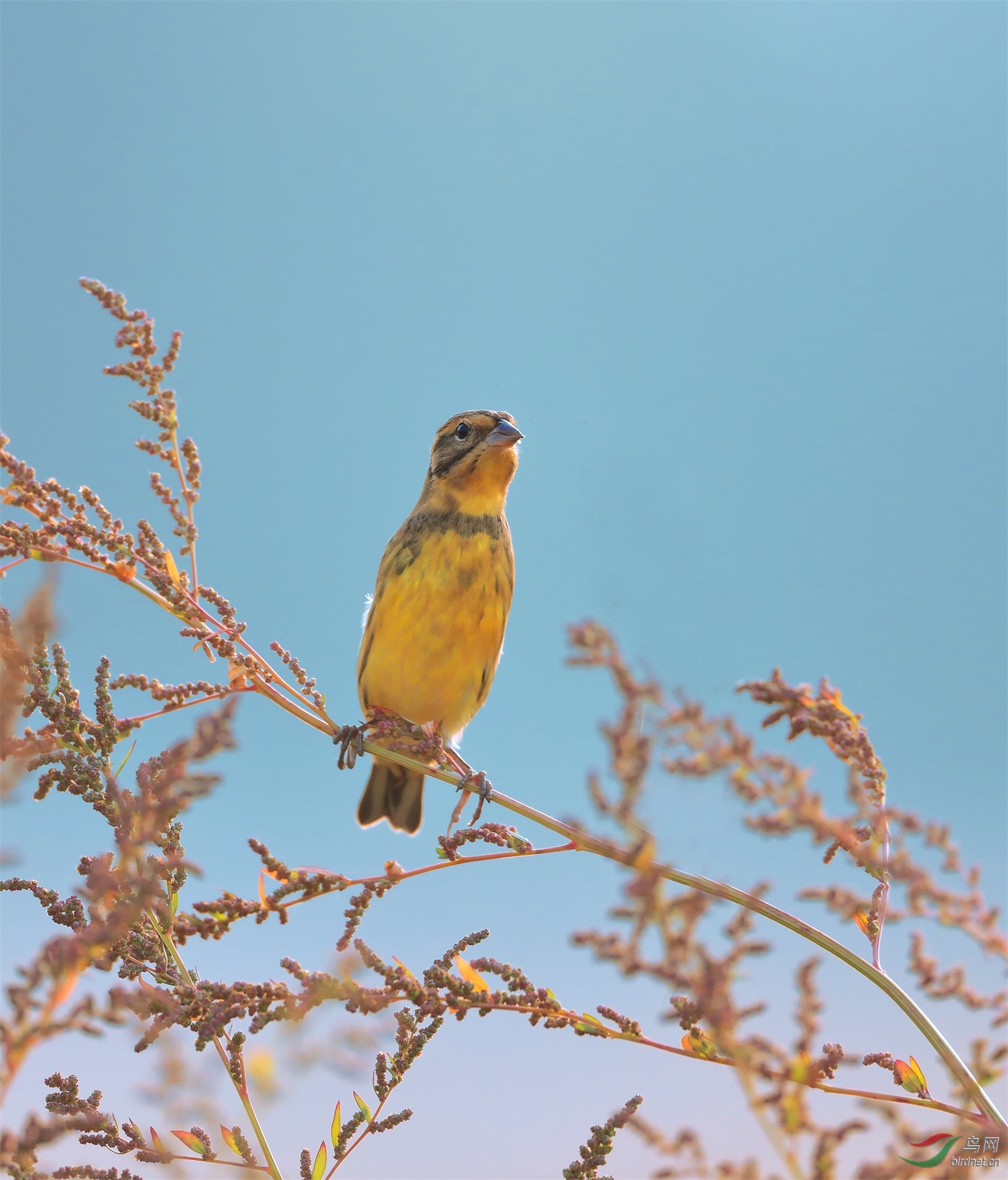 22 (2) - ����.jpg