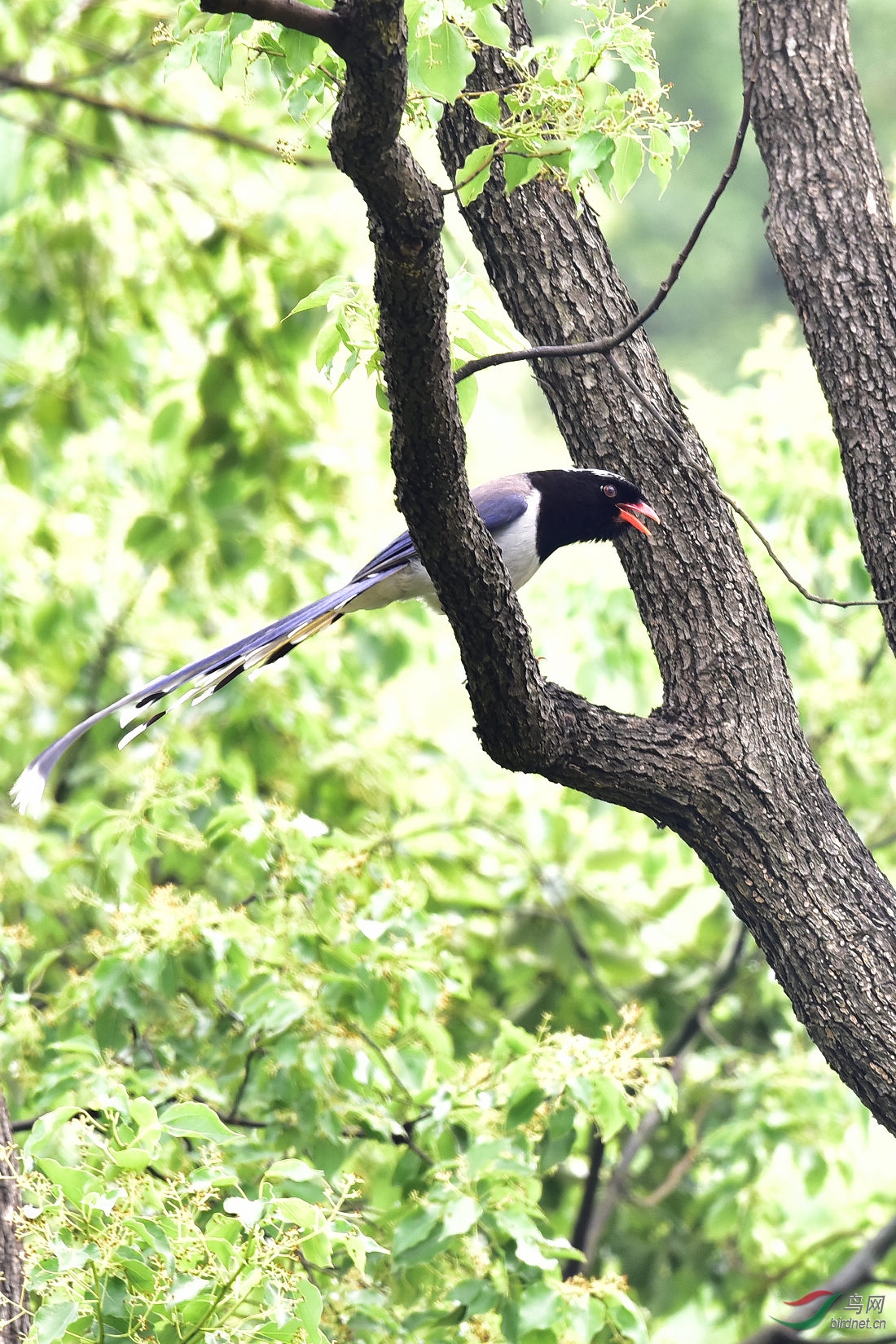 DSC_0442.JPG