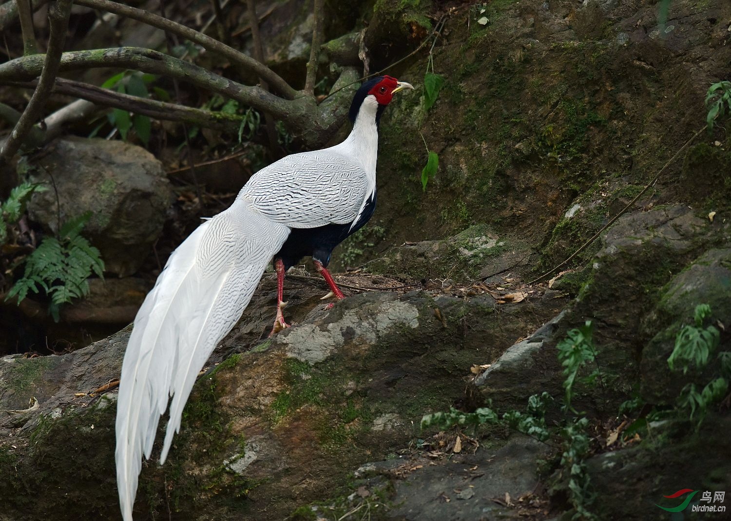 D8I_2753.jpg