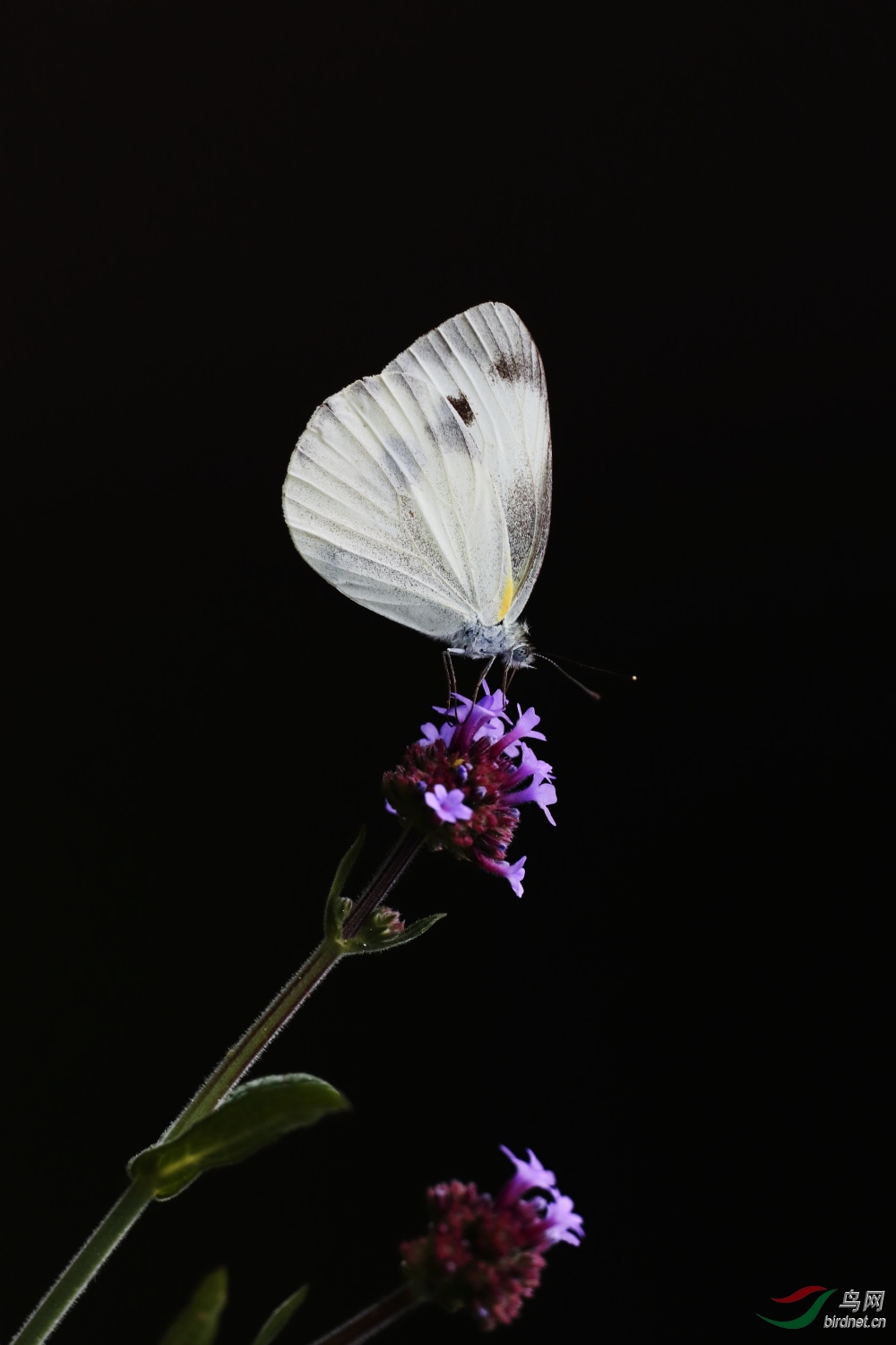 2019-09-30 90D 070.JPG