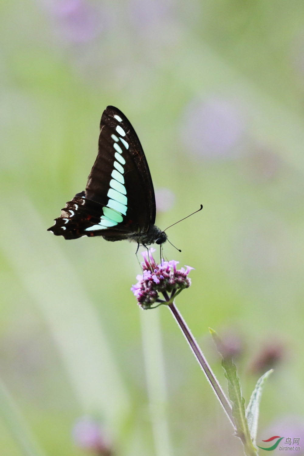 2019-09-30 90D 073.JPG