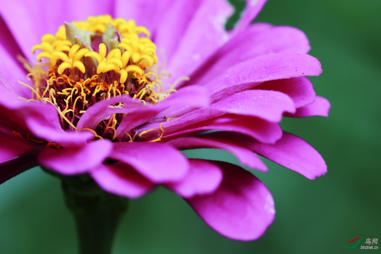 2019-09-30 90D 088.JPG