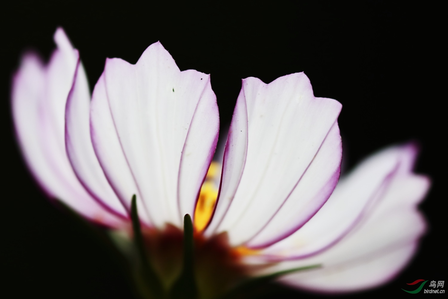 2019-09-30 90D 095.JPG