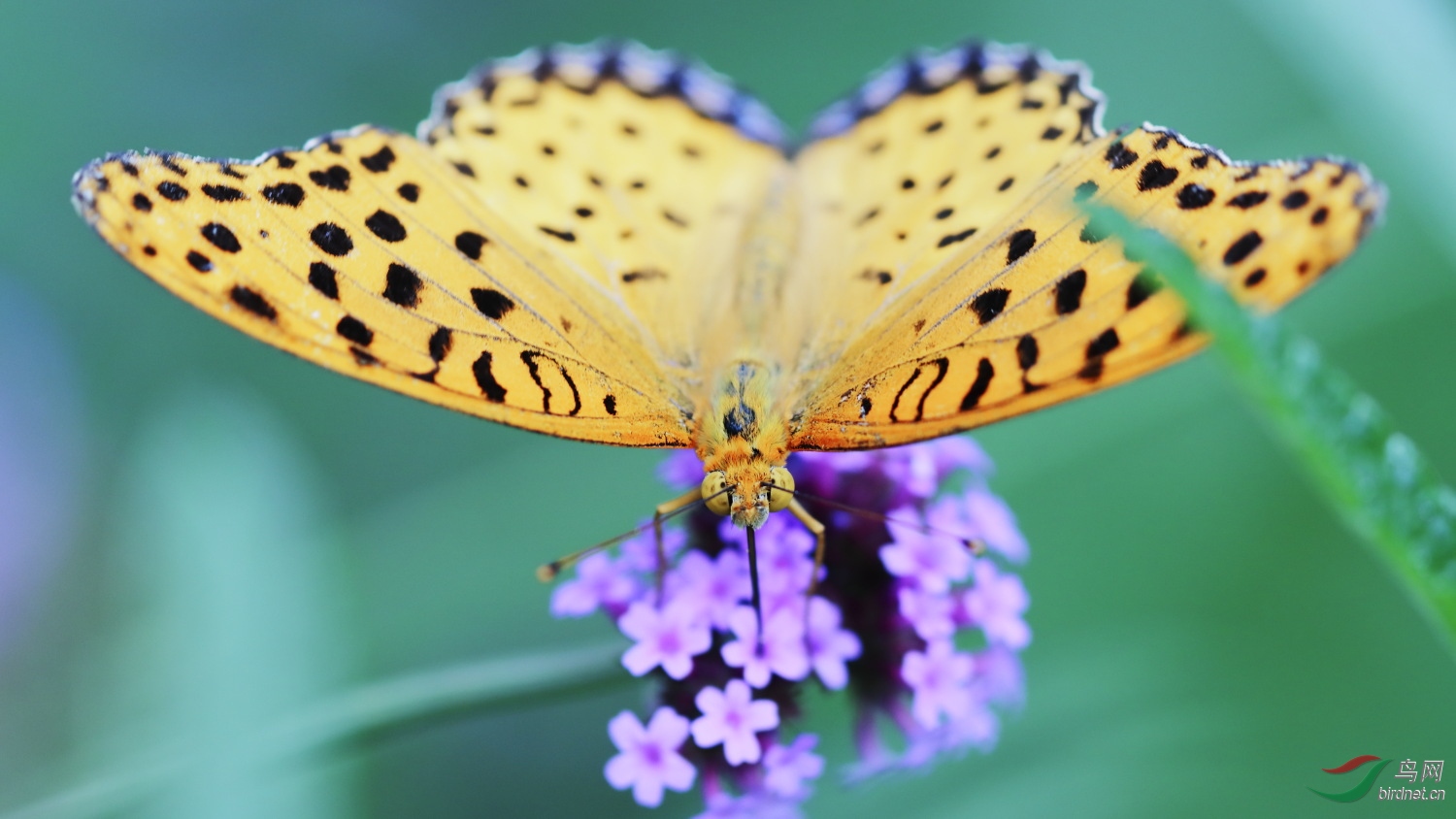 2019-09-30 90D 097.JPG