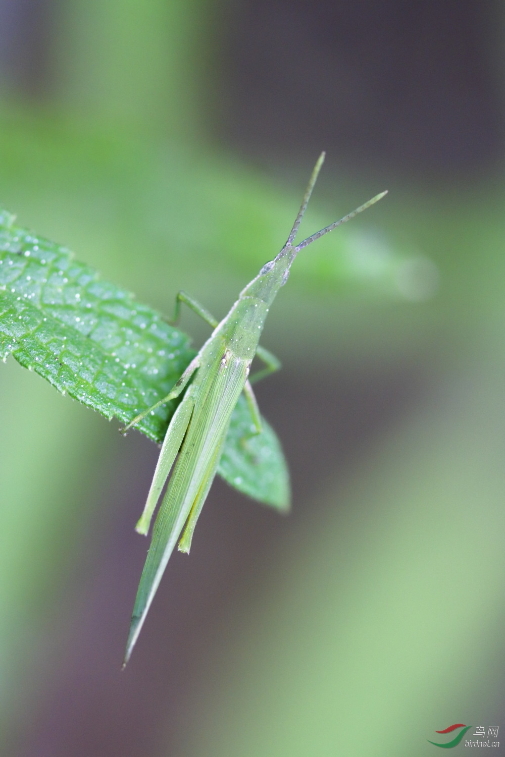 2019-09-30 90D 106.JPG