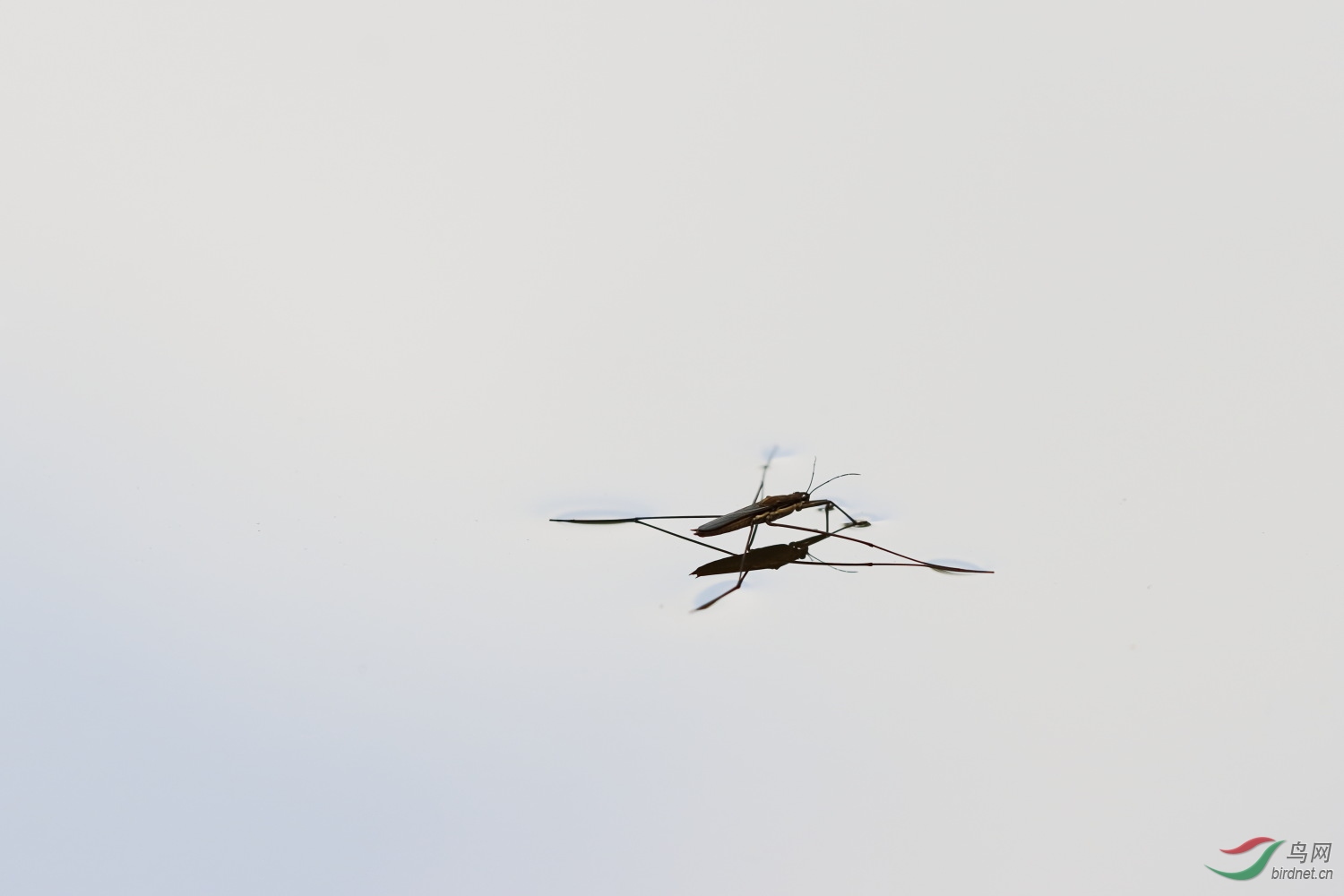 2019-09-30 90D 110.JPG