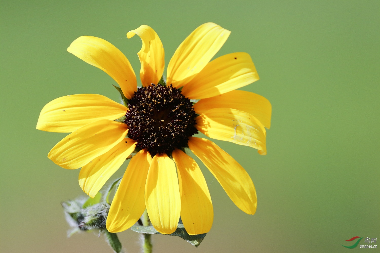 2019-09-30 90D 112.JPG