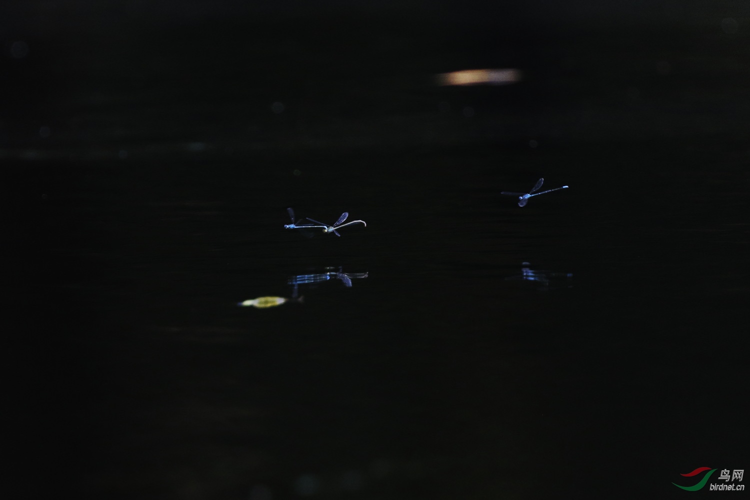 2019-09-30 90D 115.JPG