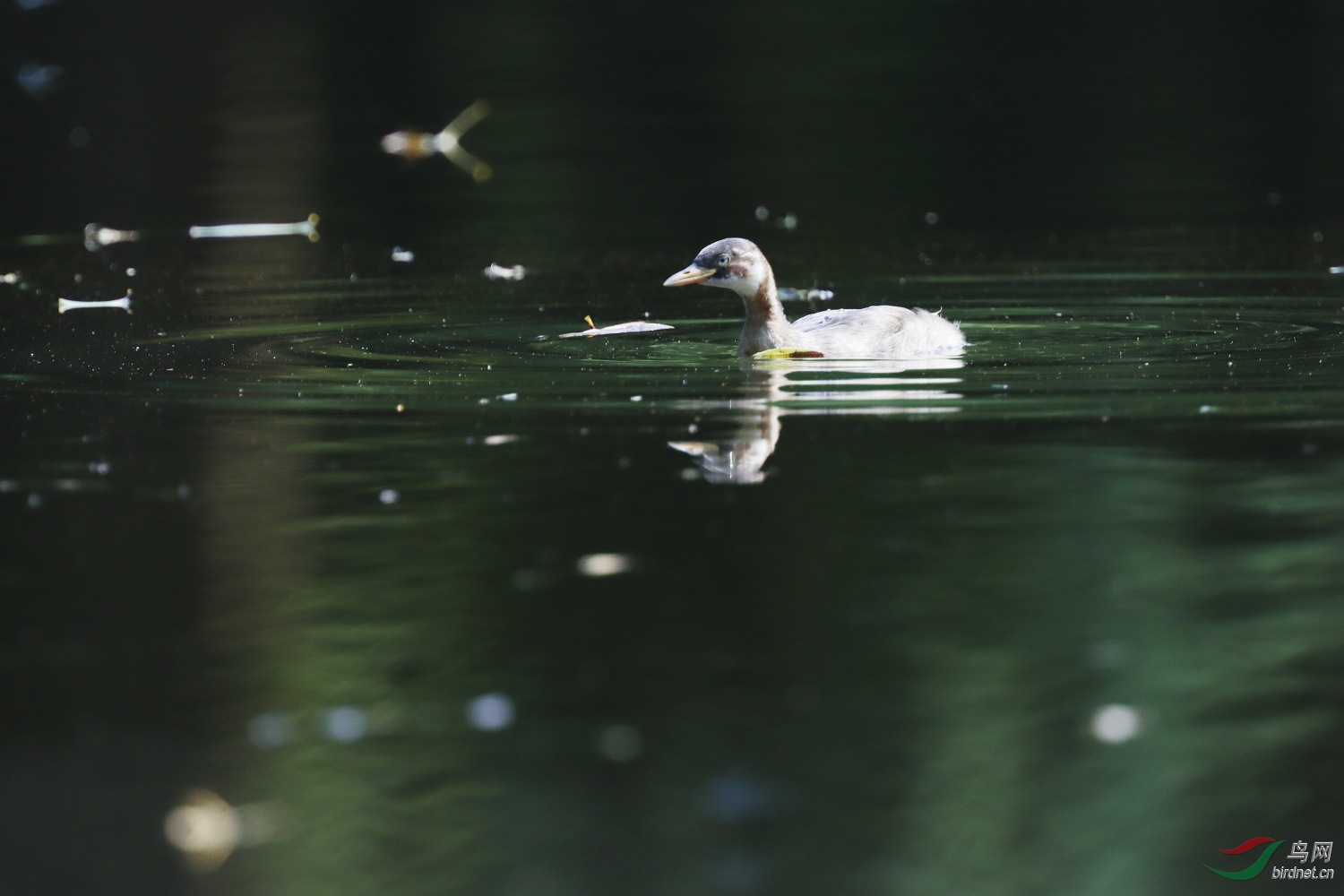 2019-09-30 90D 114.JPG