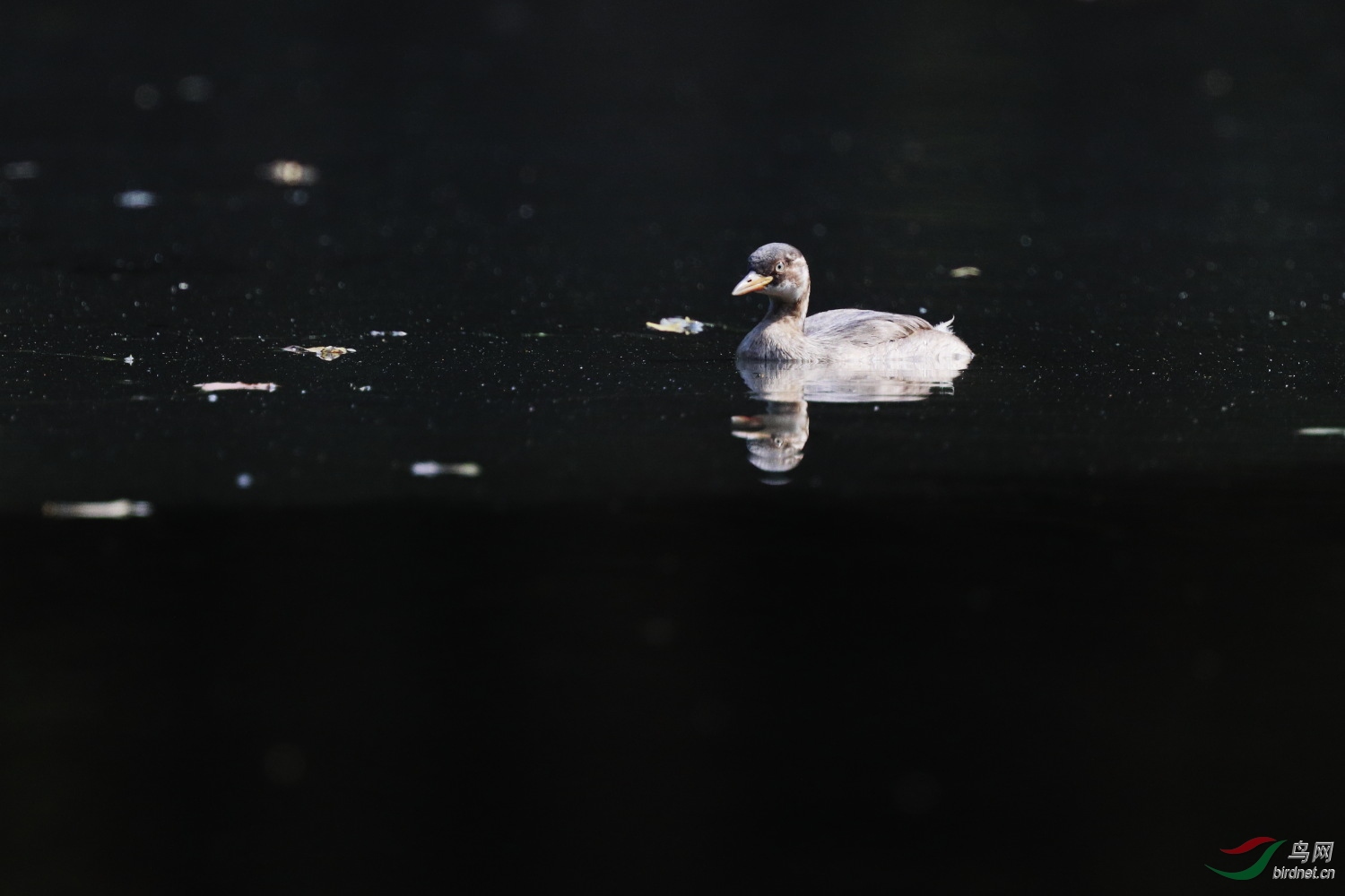 2019-09-30 90D 116.JPG