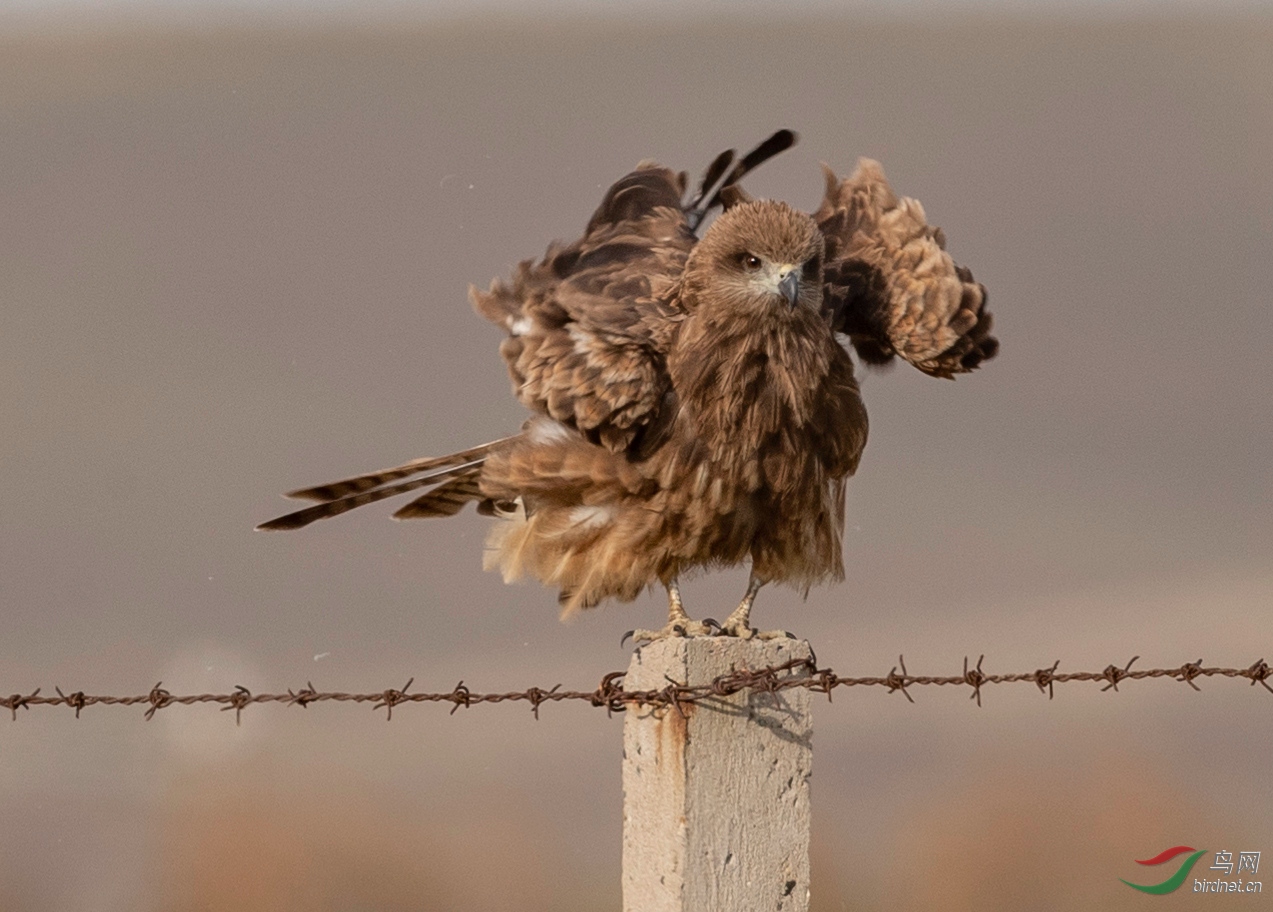 _K8I0571  01_����.jpg