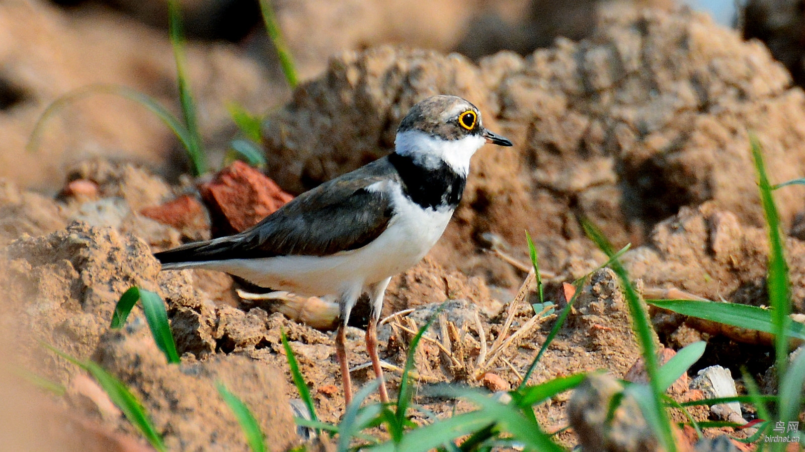 DSC_3626.JPG