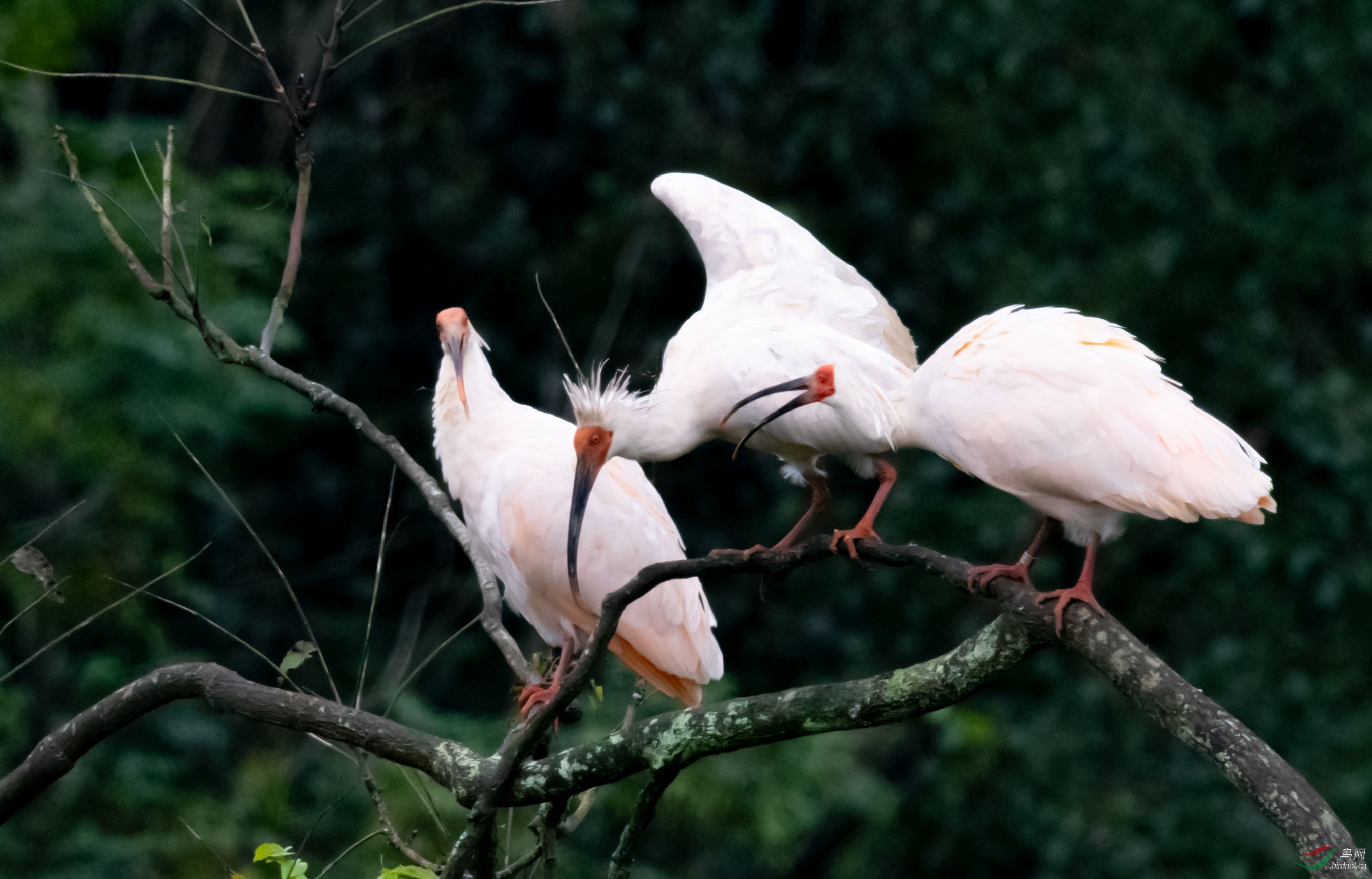 DSC_6636.jpg