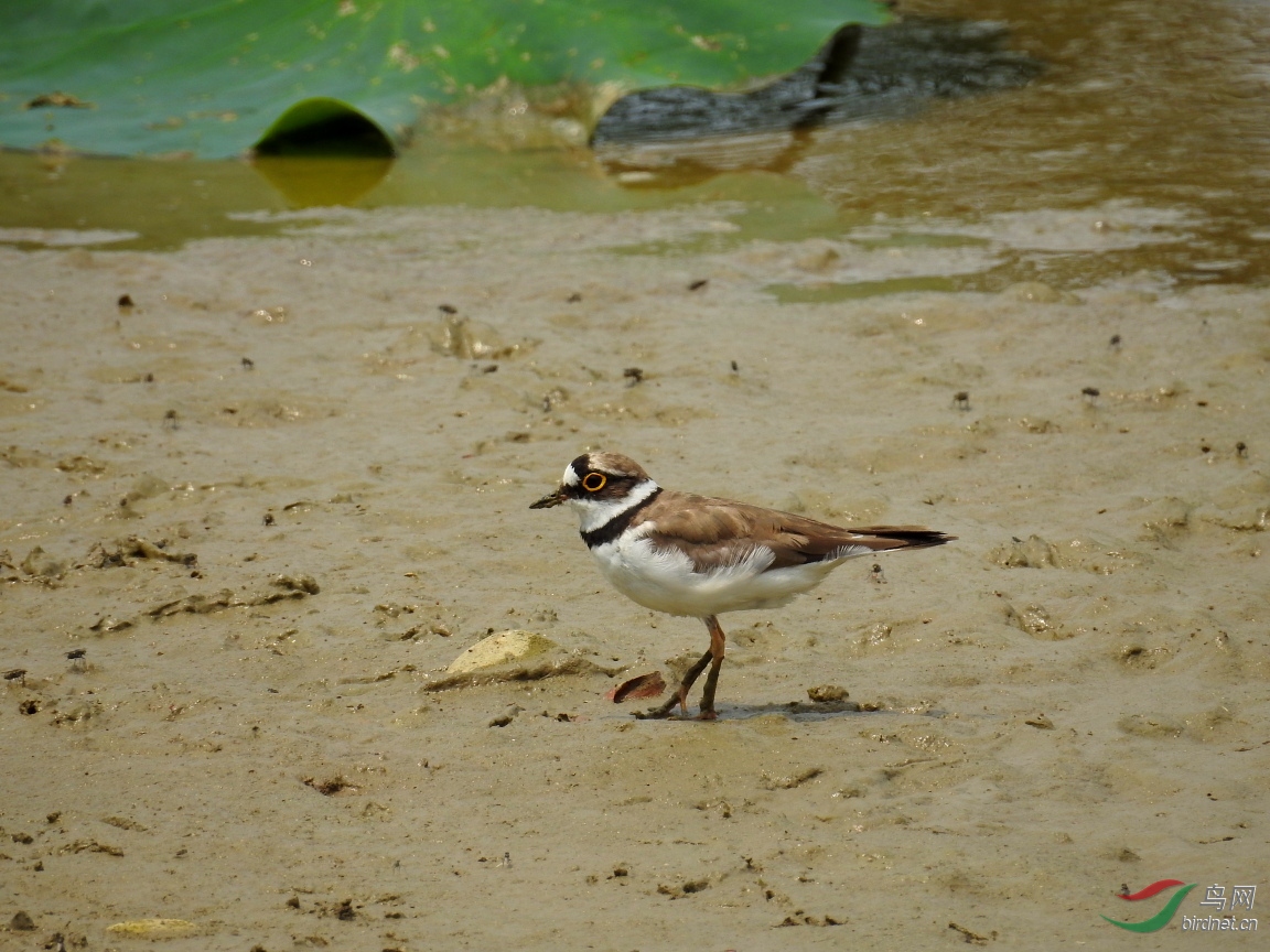 DSCN6747.JPG