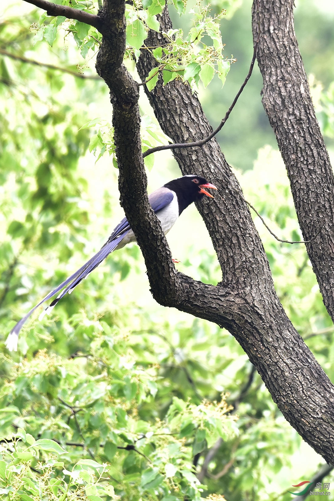 DSC_0445.JPG