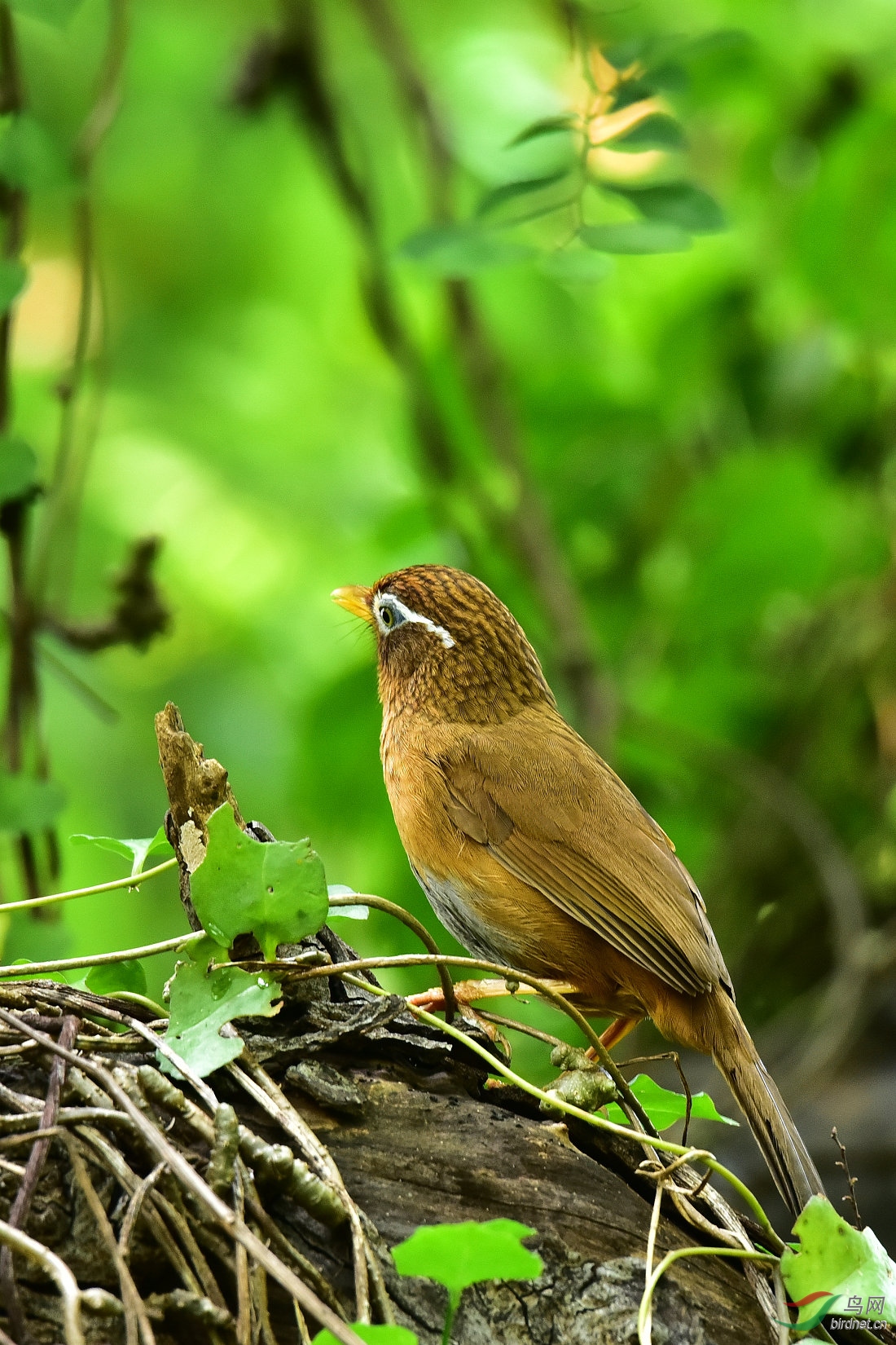 DSC_0036.JPG