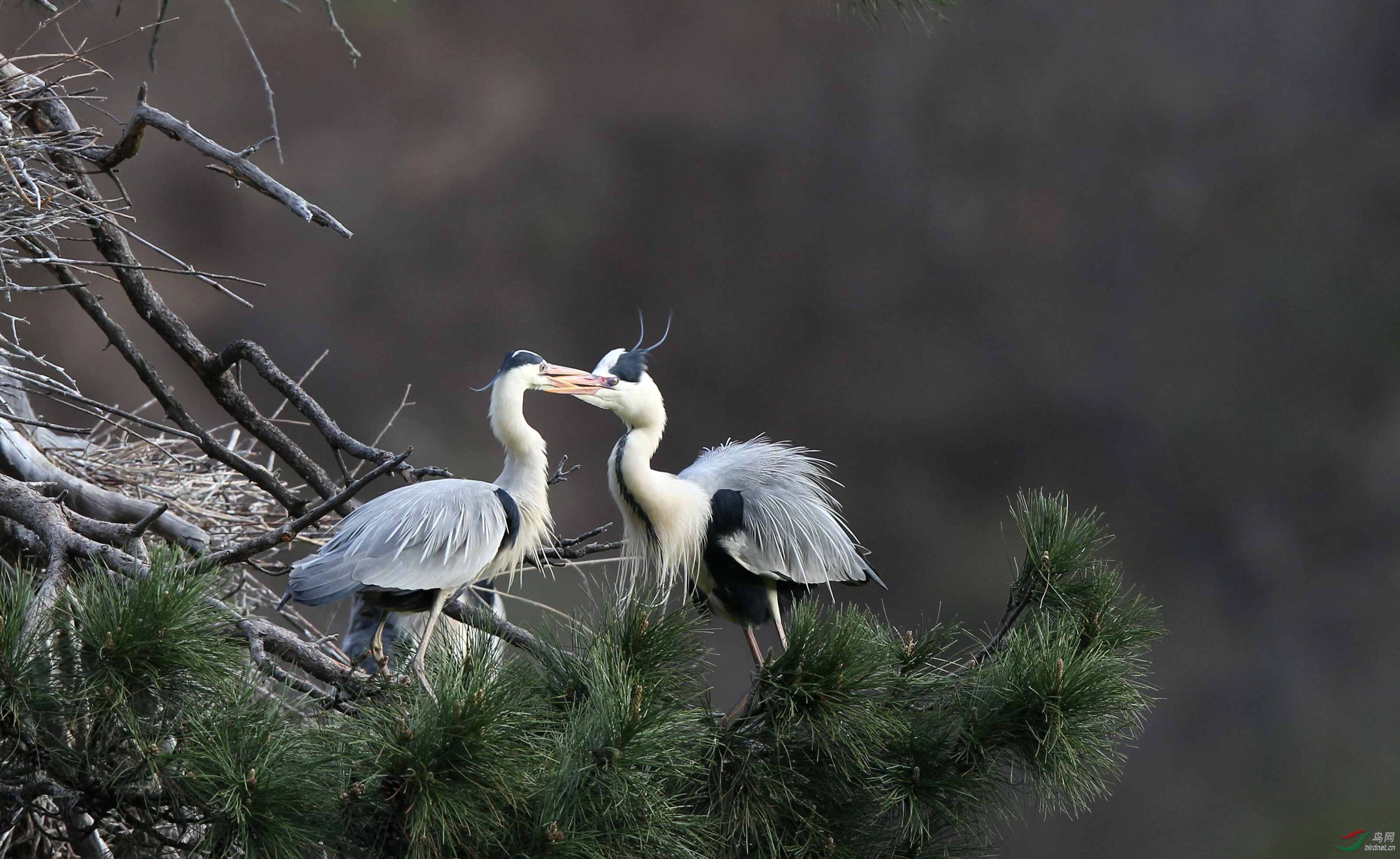 H46R7764_���� (3).jpg