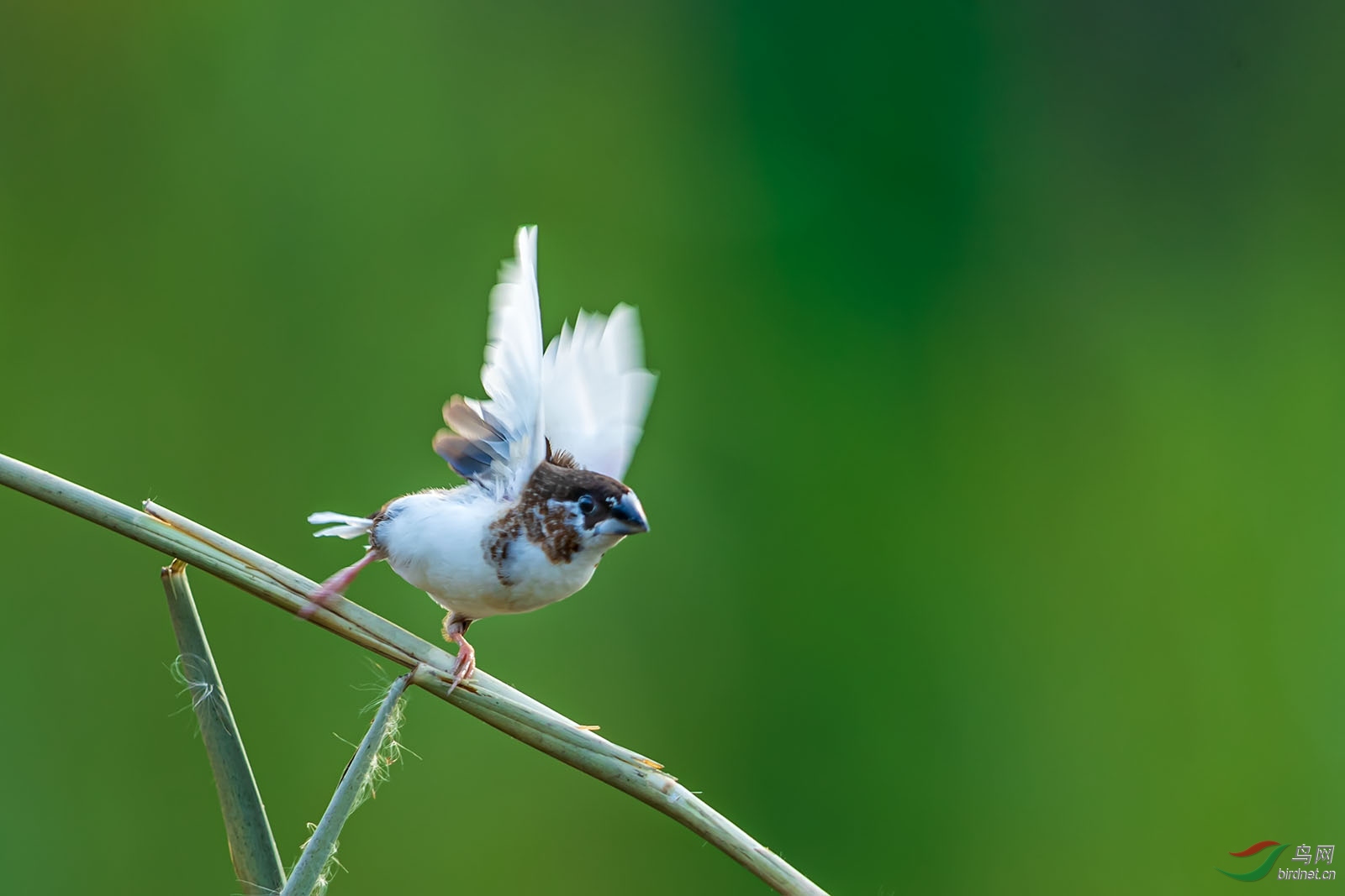 xzpx191001_1667 ����.jpg