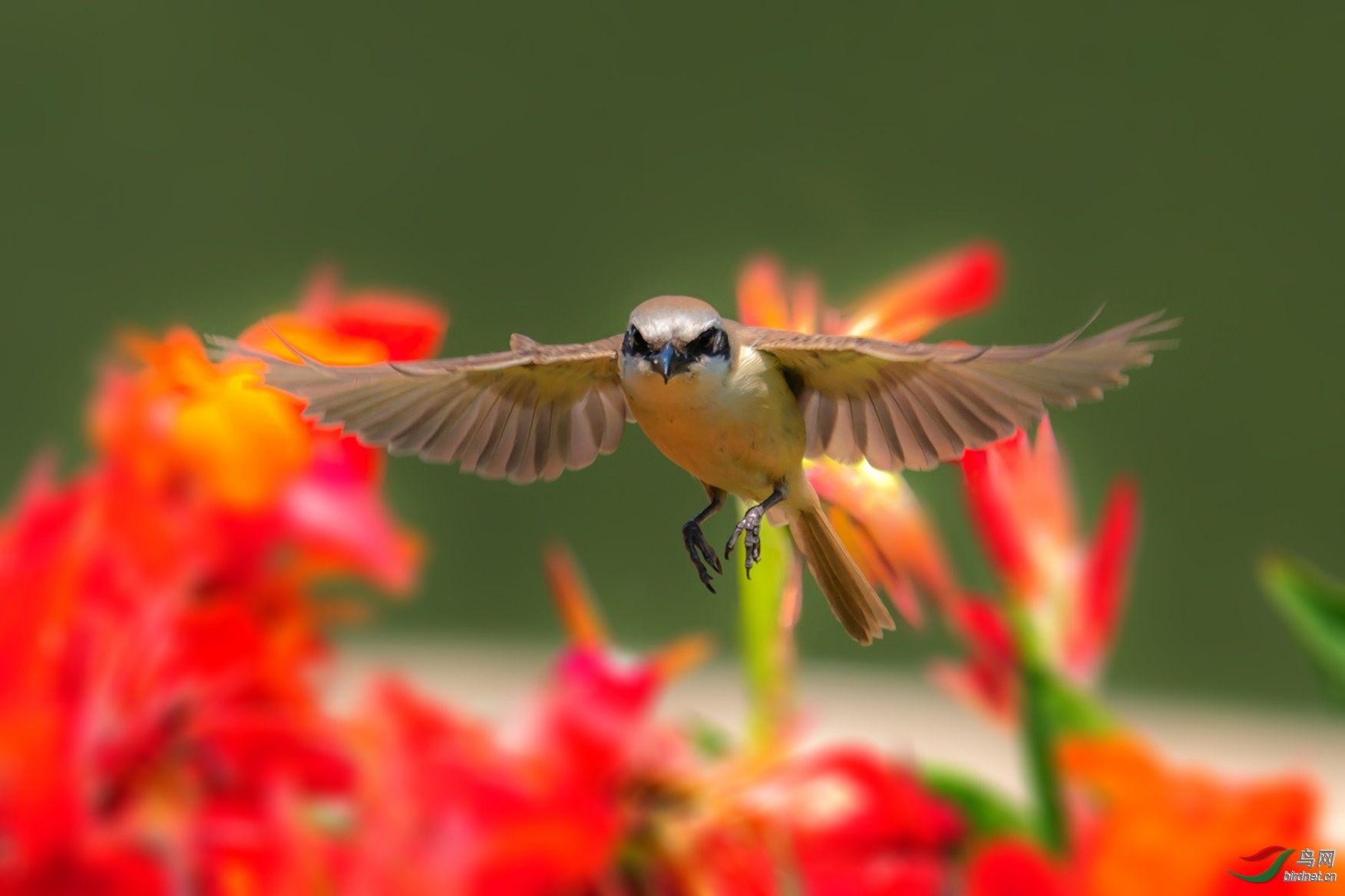 ͼƬ2 ����.jpg