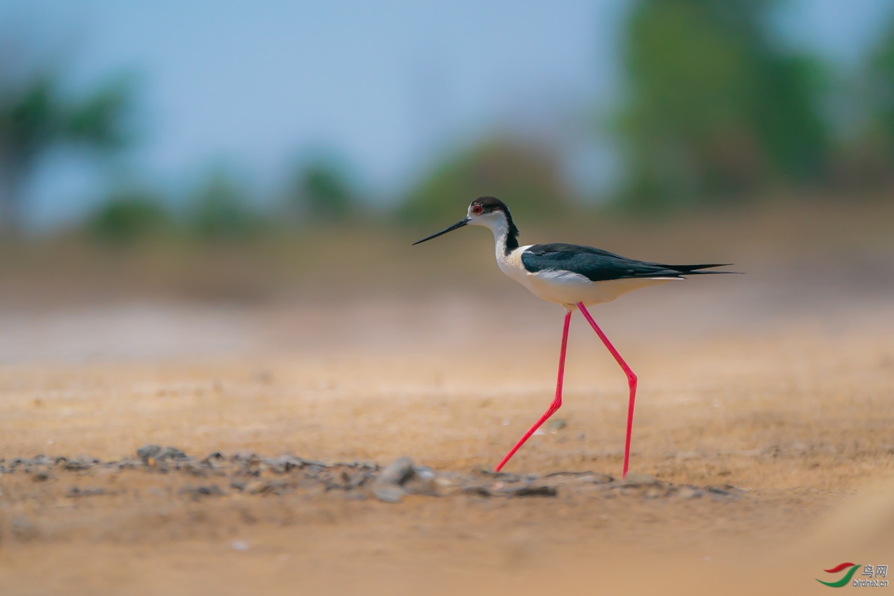 ͼƬ4 ����.jpg