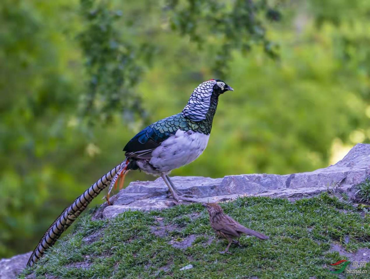 ͼƬ7 ����.jpg